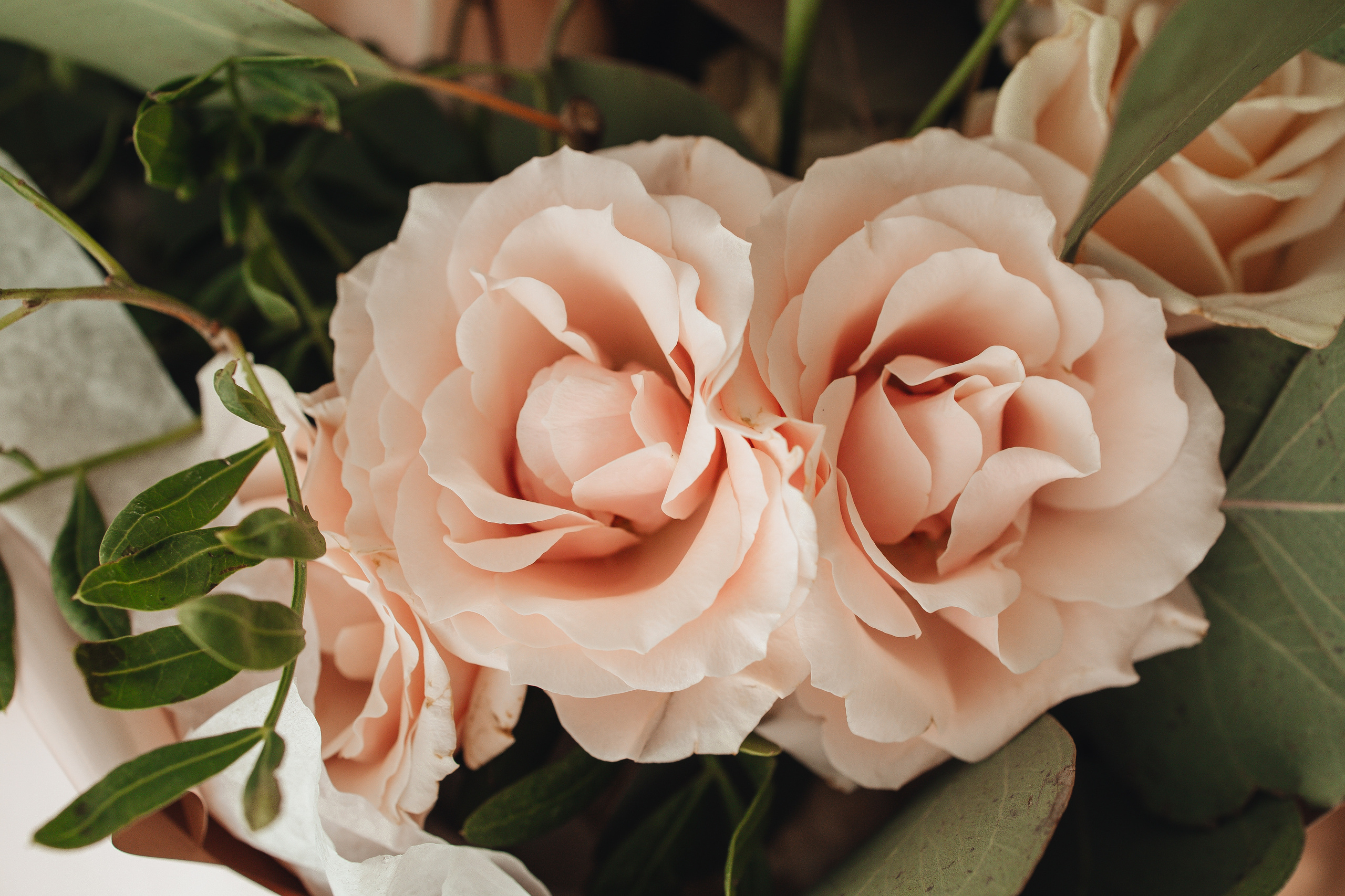 ВЫПИСКА. МиМика — самая детская фотография