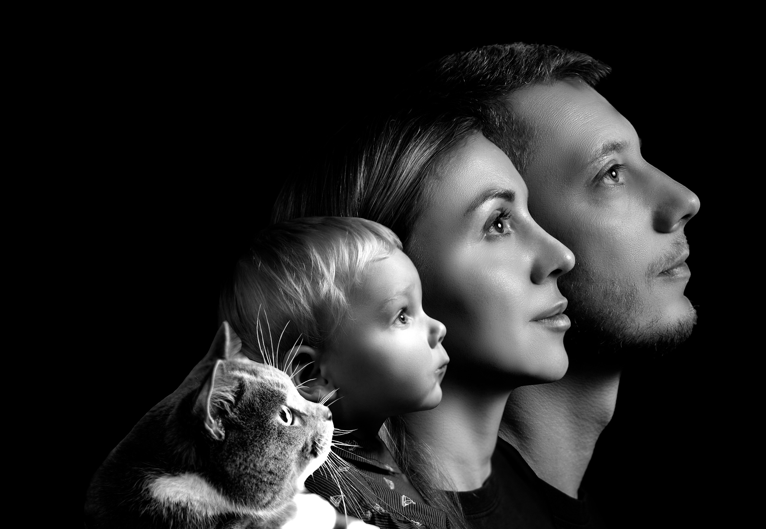 Семейный Портрет. Главная