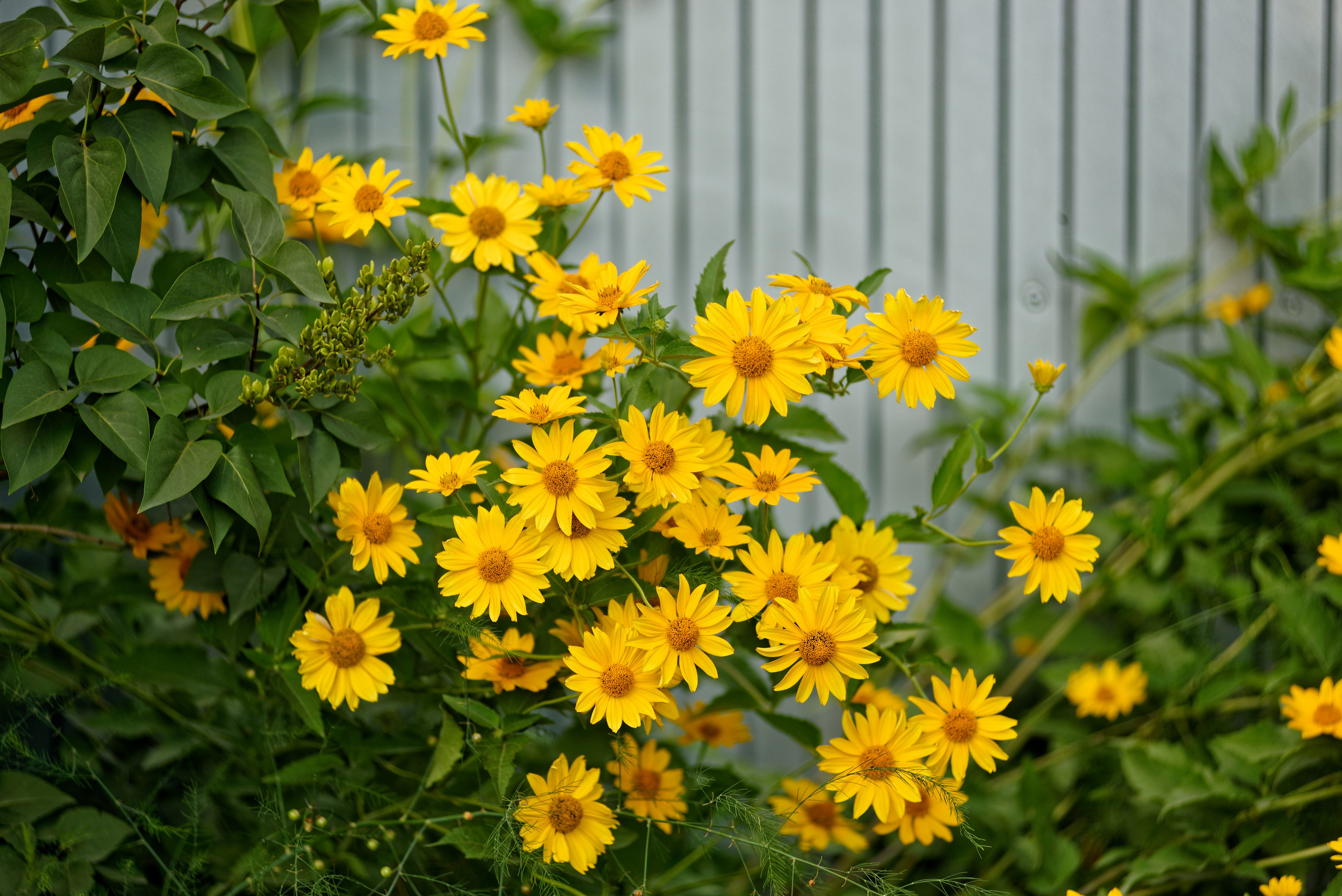 Природа. Фотограф в городе Омске Константин Зоткин