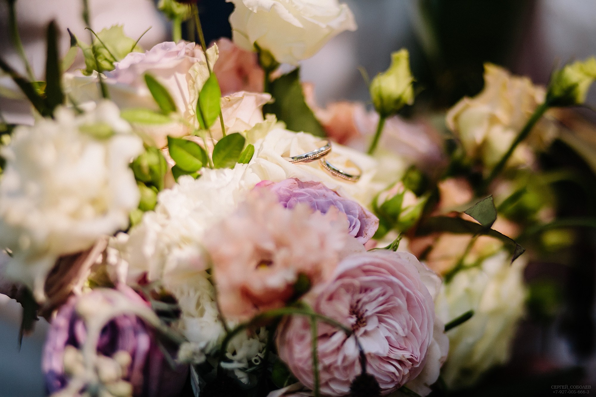 Свадебные съемки. Сергей Соболев — Ваш свадебный фотограф!