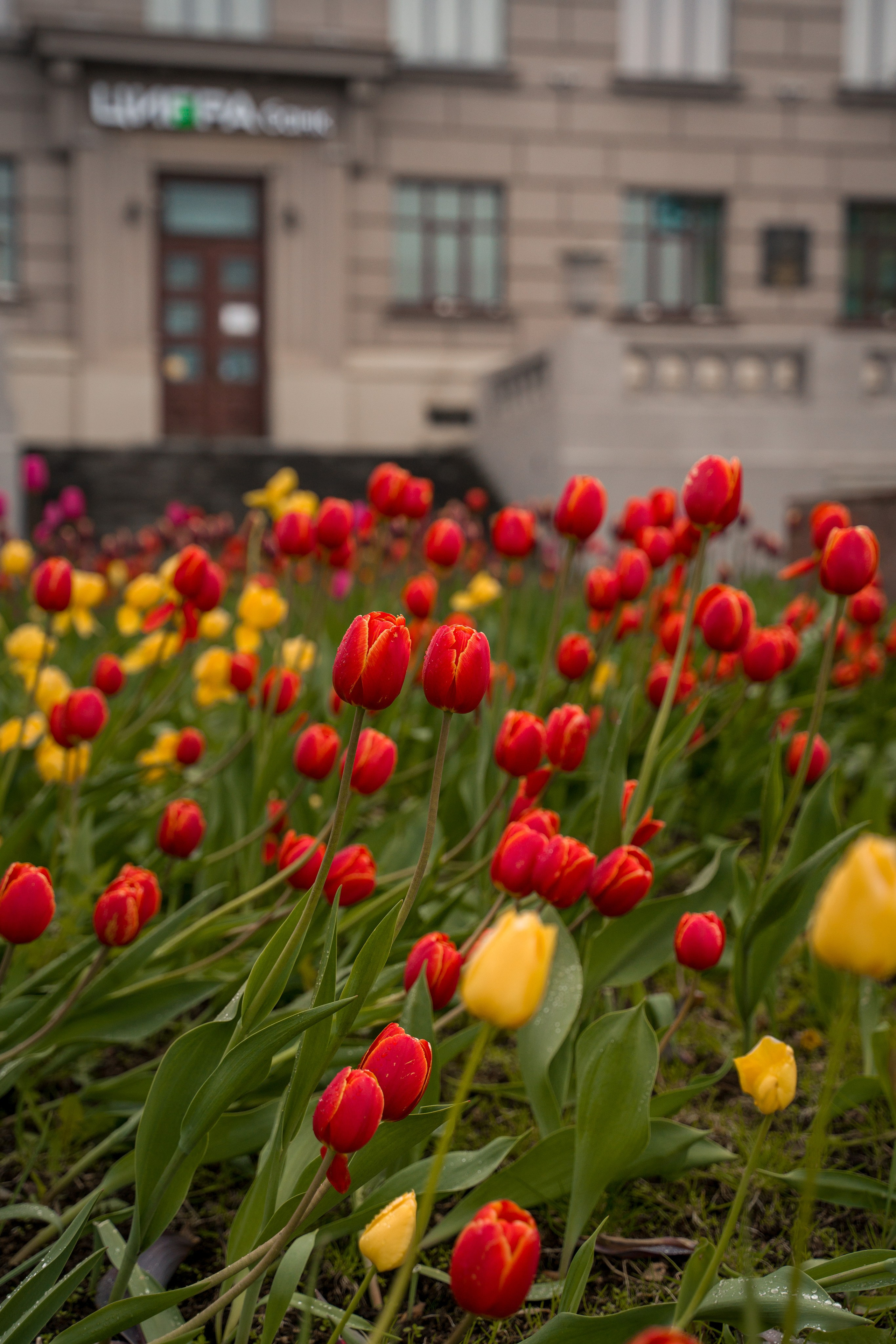 Нижний Новгород. Контент-фотограф в Нижнем Новгороде Антошина Ольга