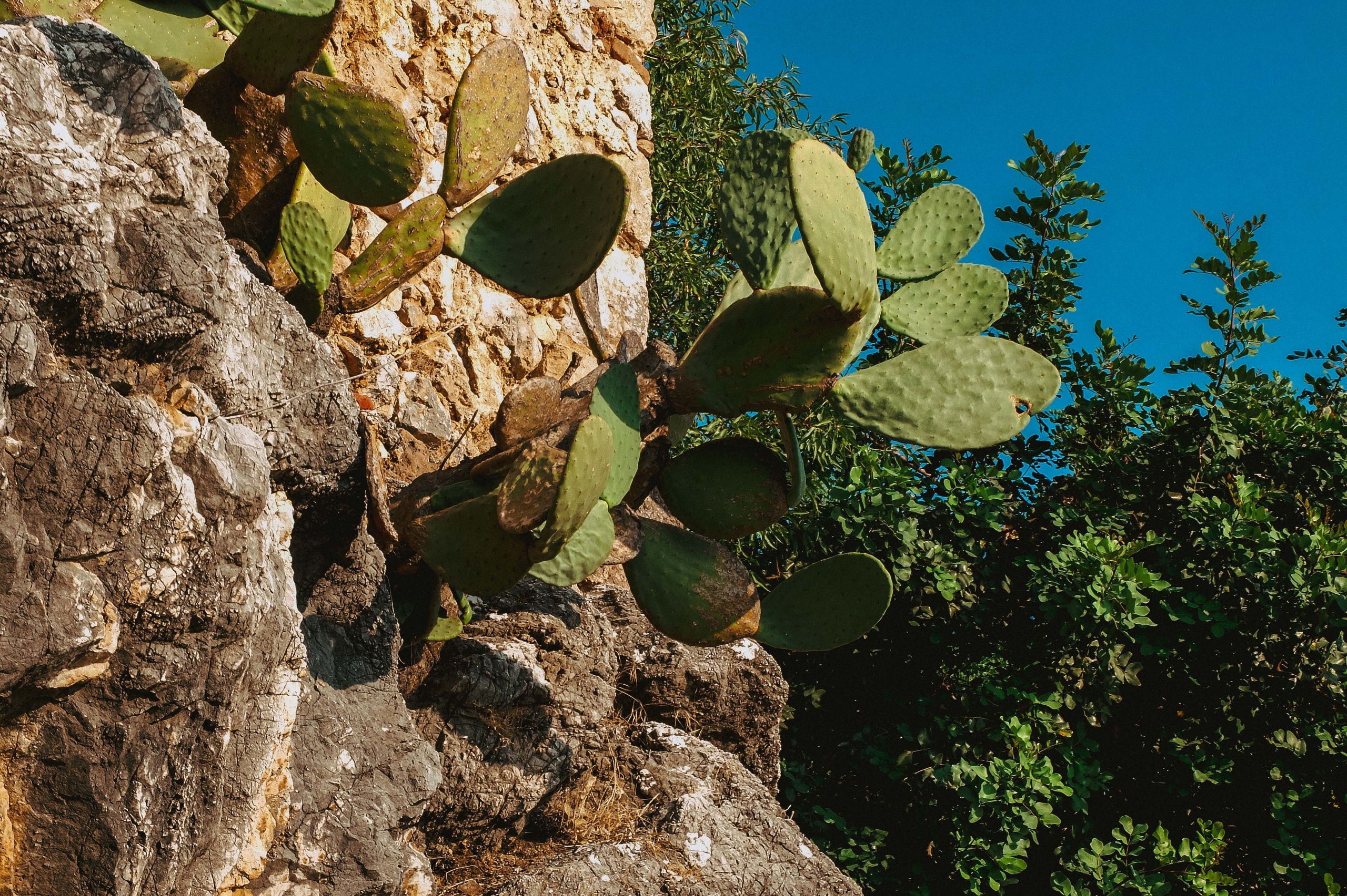 ТУРЦИЯ. Выпускные альбомы Edi ART