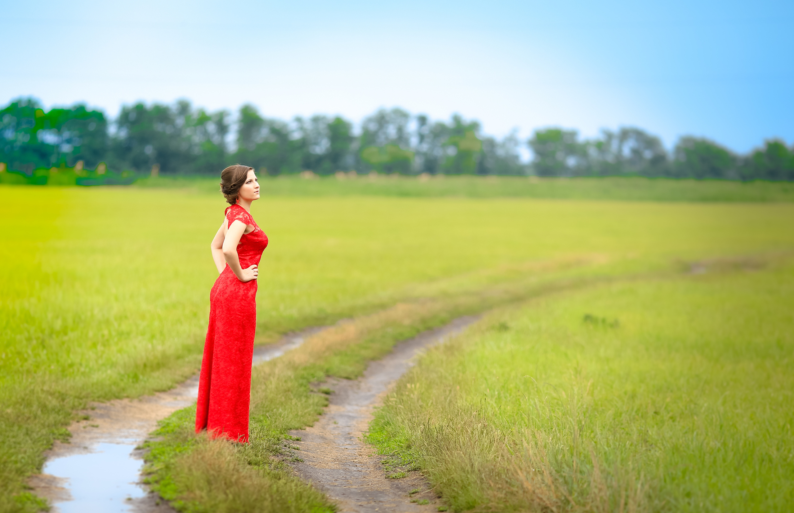 ВЫПУСКНОЙ БАЛ. Выпускные альбомы Edi ART