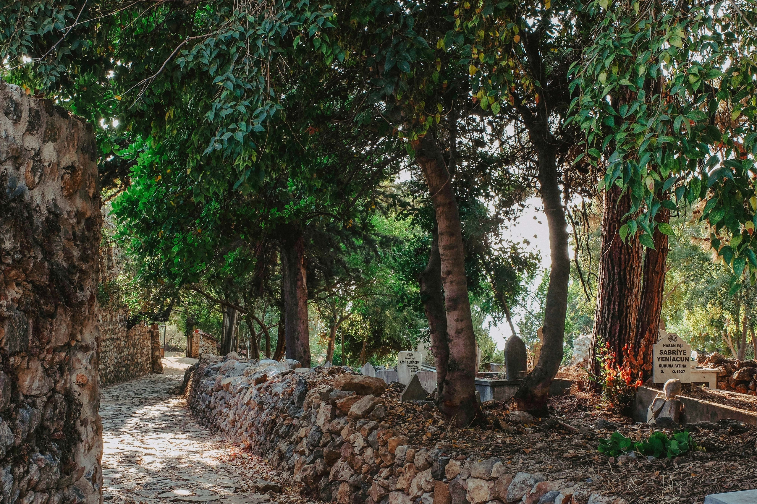 ТУРЦИЯ. Выпускные альбомы Edi ART