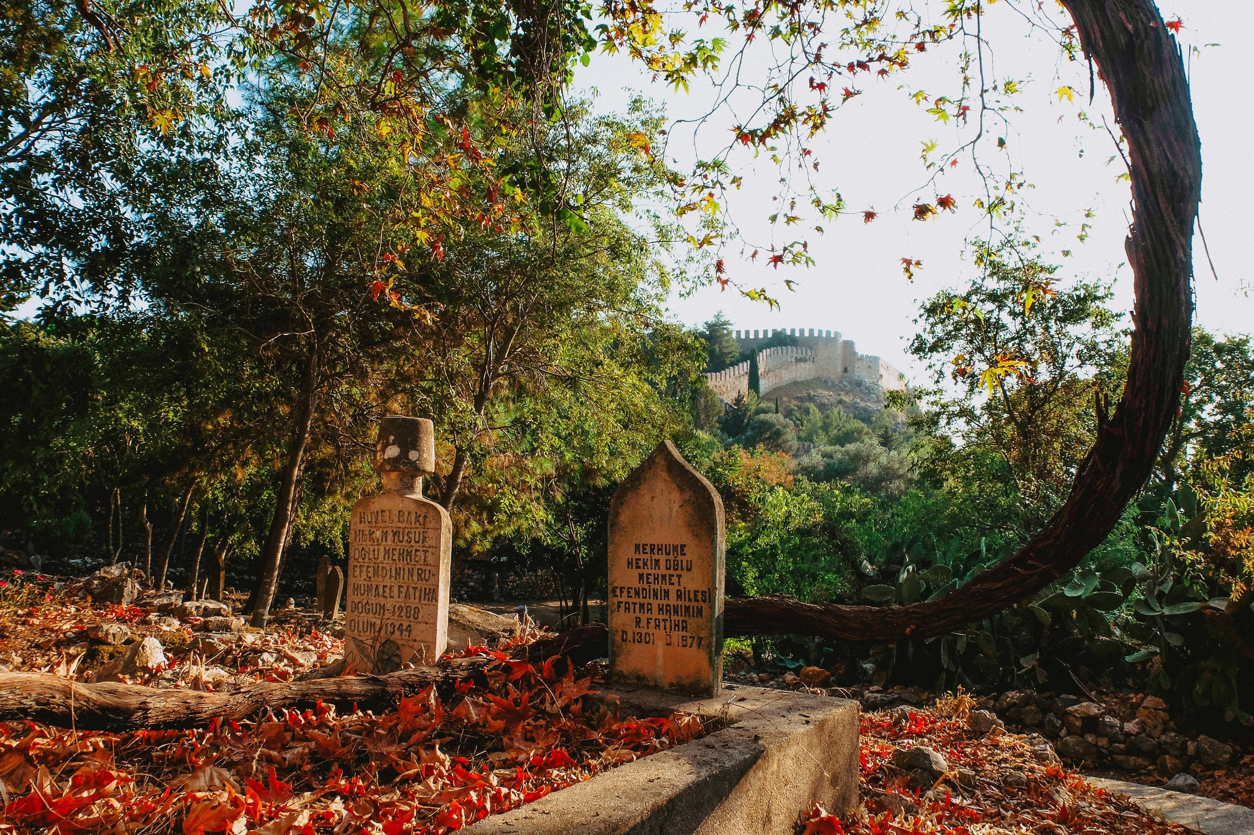 ТУРЦИЯ. Выпускные альбомы Edi ART