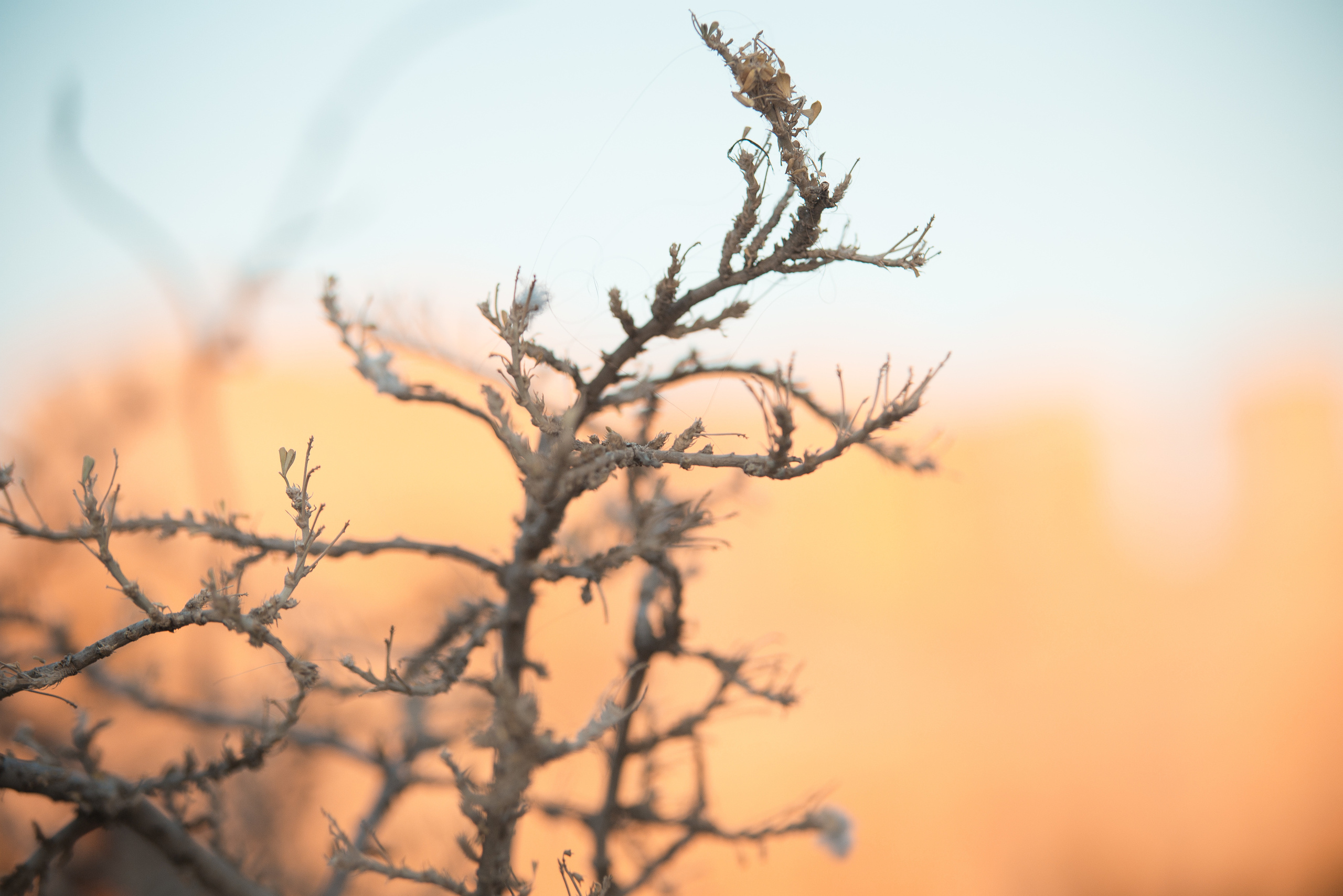 ГРЕЦИЯ. Выпускные альбомы Edi ART