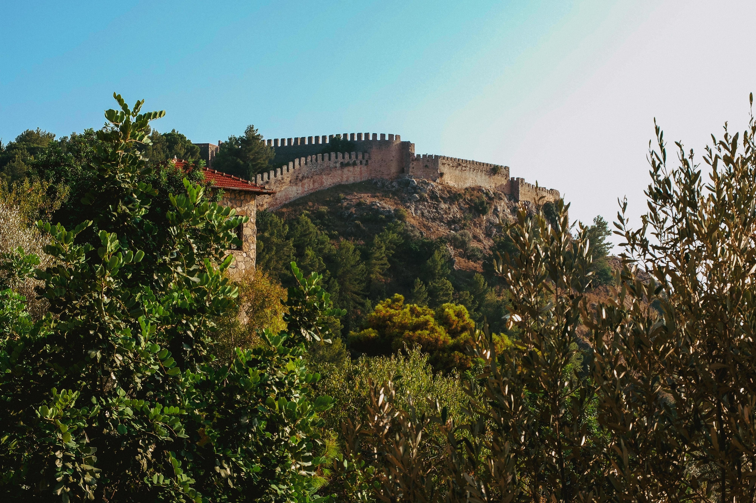 ТУРЦИЯ. Выпускные альбомы Edi ART