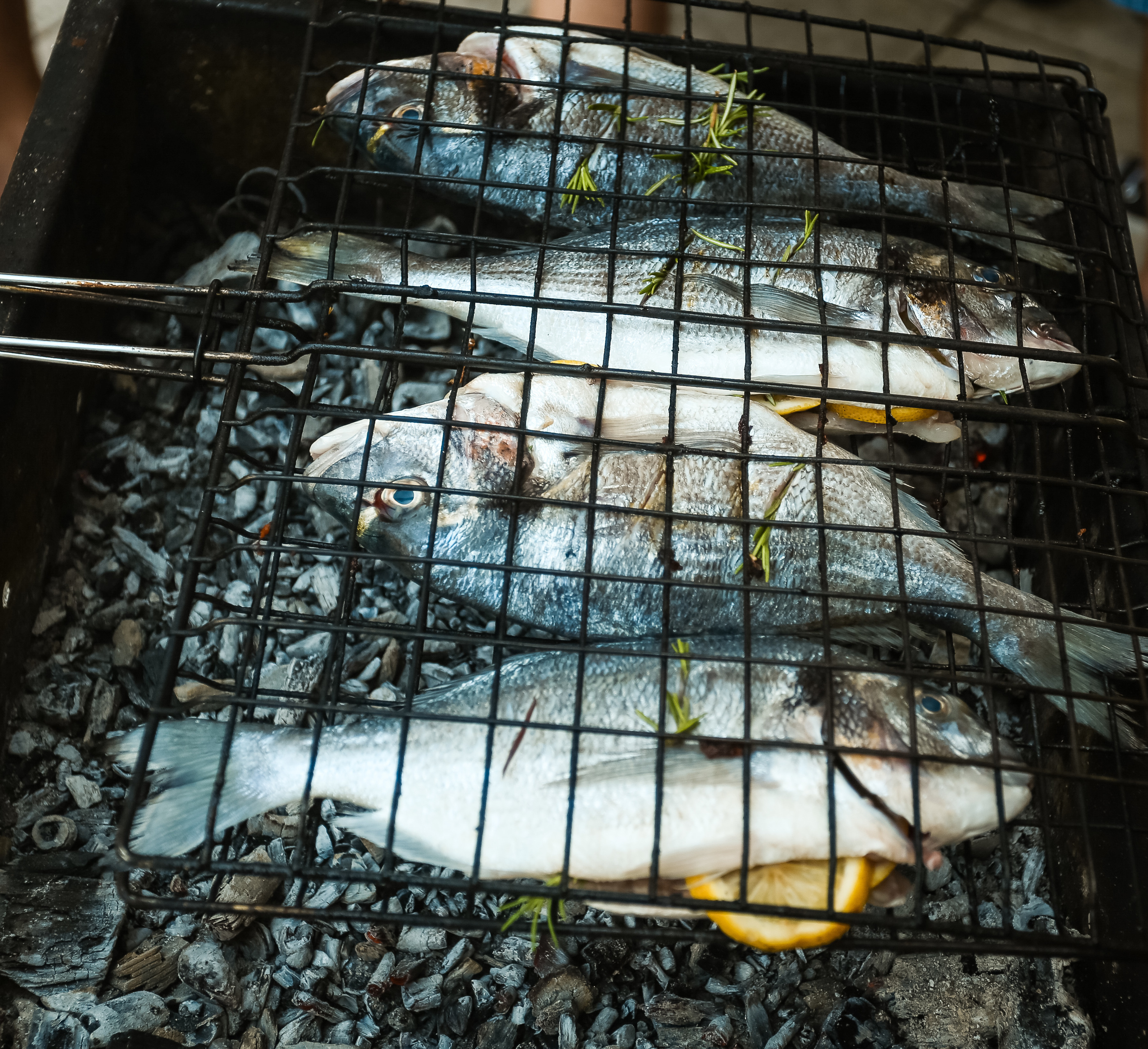 ГРЕЦИЯ. Выпускные альбомы Edi ART