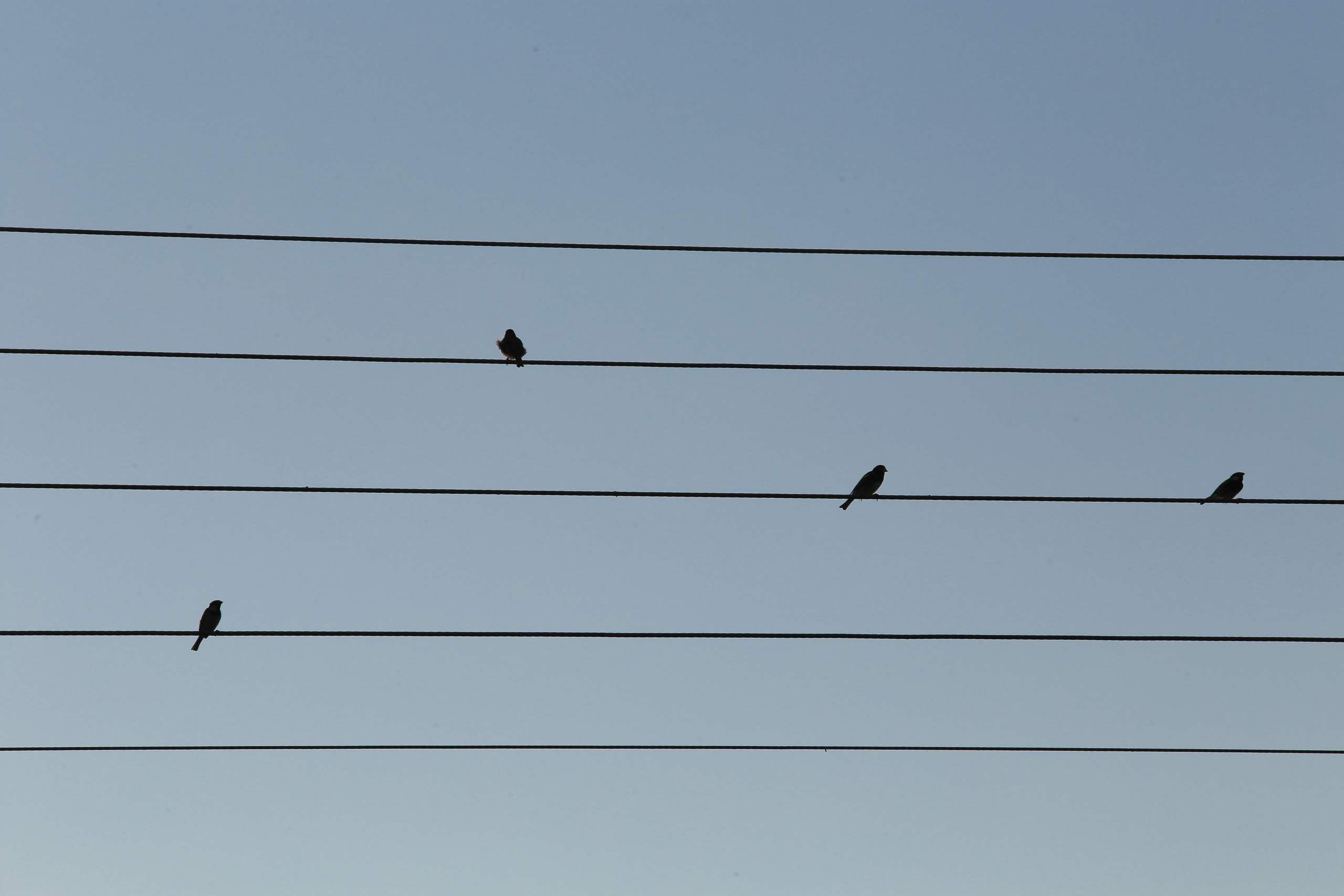 ГРЕЦИЯ. Выпускные альбомы Edi ART