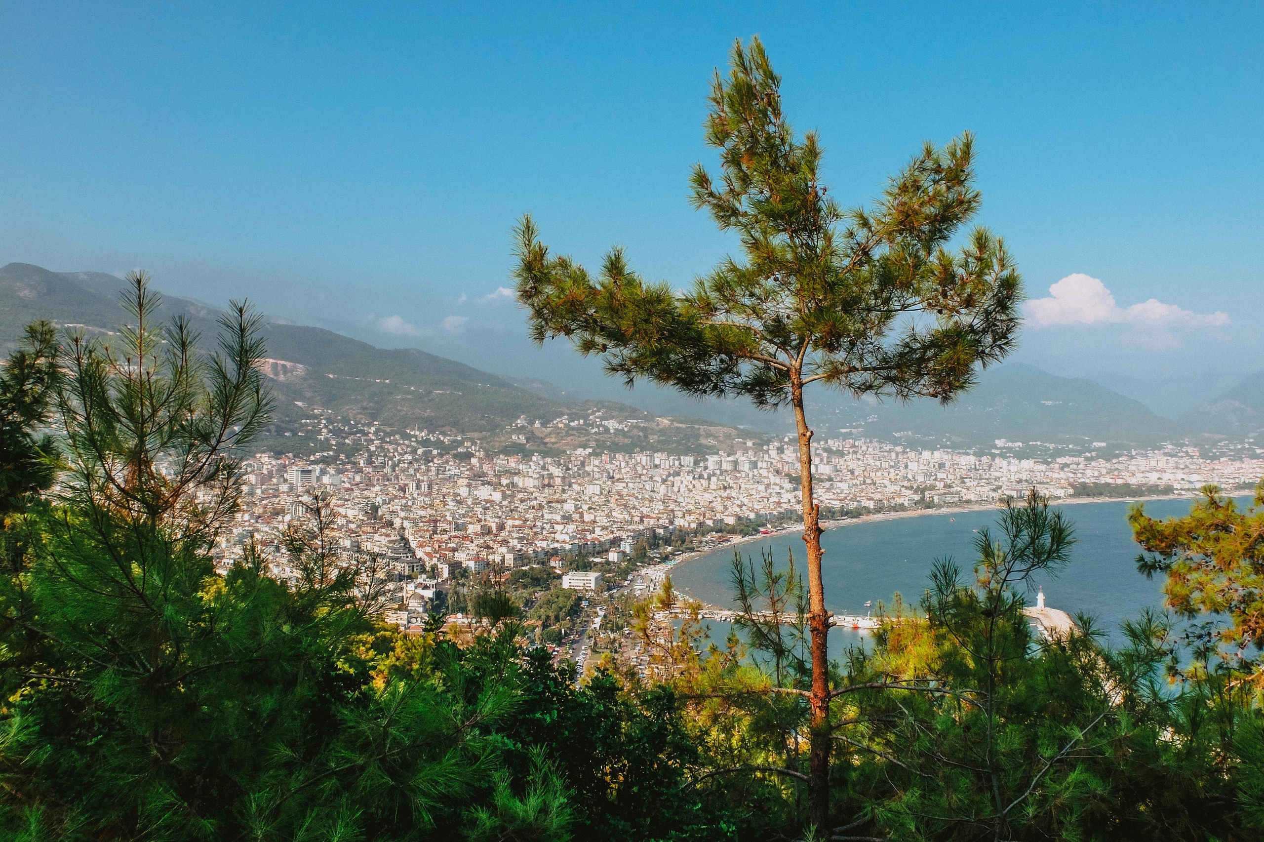 ТУРЦИЯ. Выпускные альбомы Edi ART