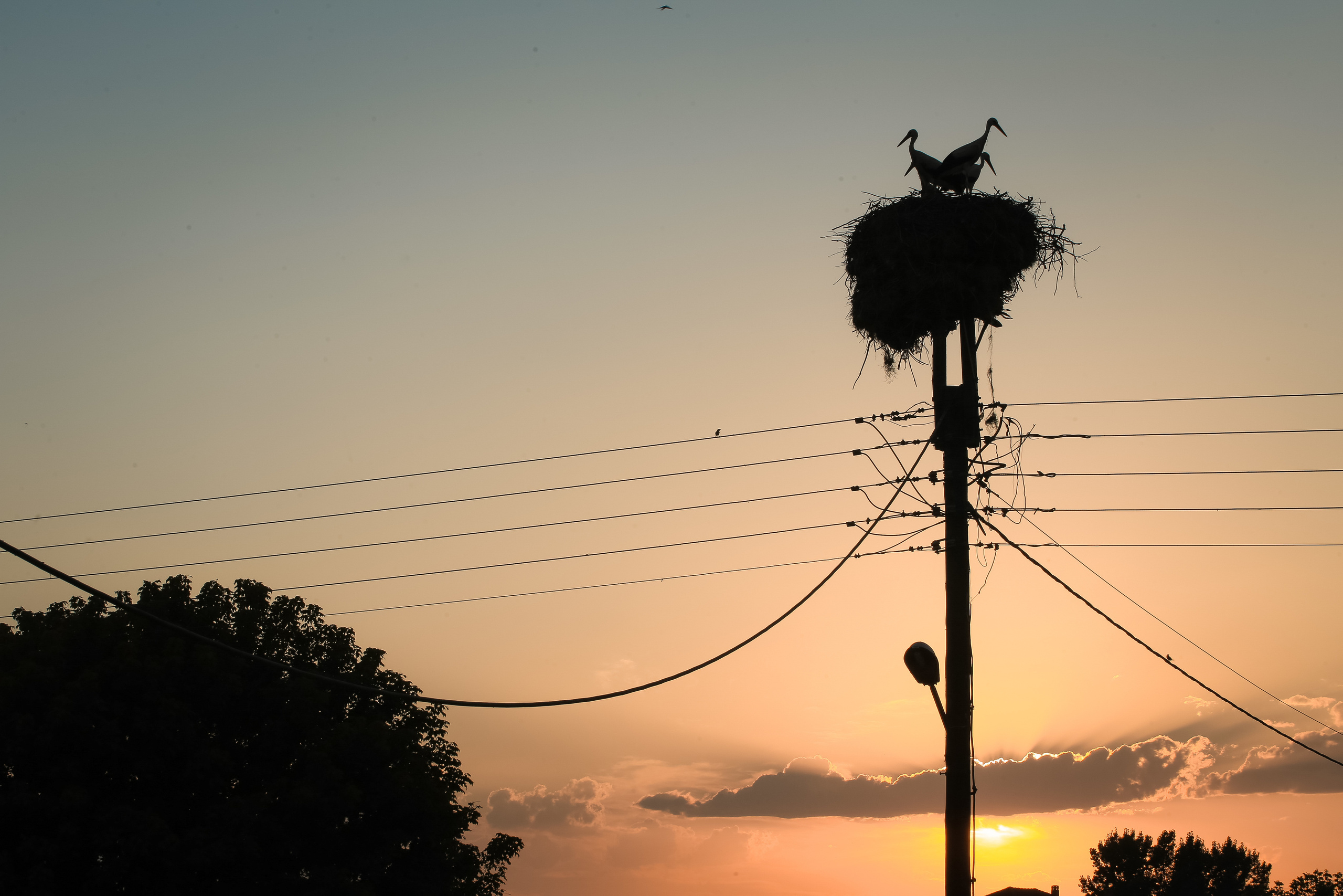 ГРЕЦИЯ. Выпускные альбомы Edi ART