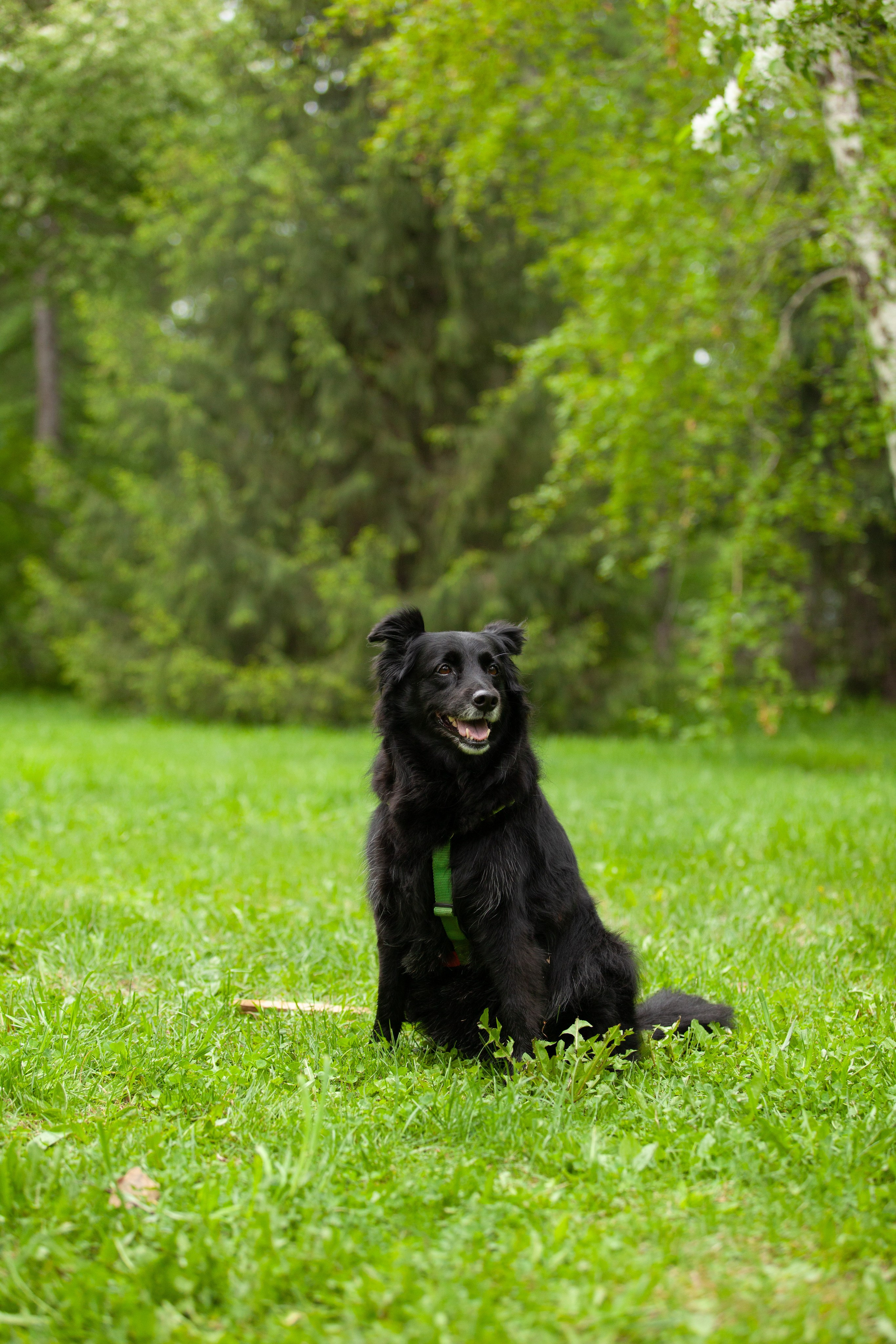 Ваши фотографии. Фотограф анималист Осипчикова Мария