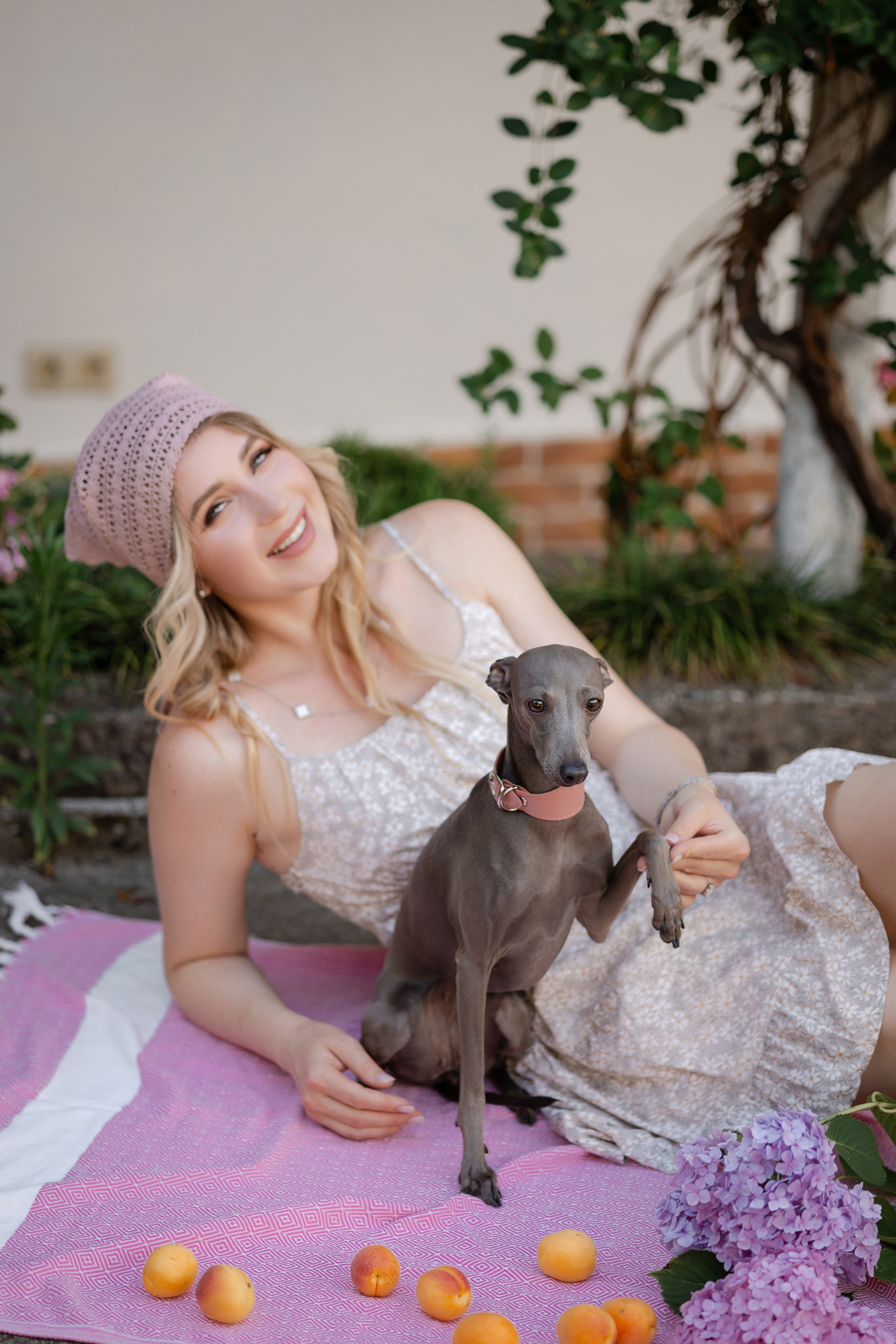 Роза. Профессиональный питомник левреток РКФ/FCI ASTI SAPPHIRE 💎 Сочи|Санкт-Петербург