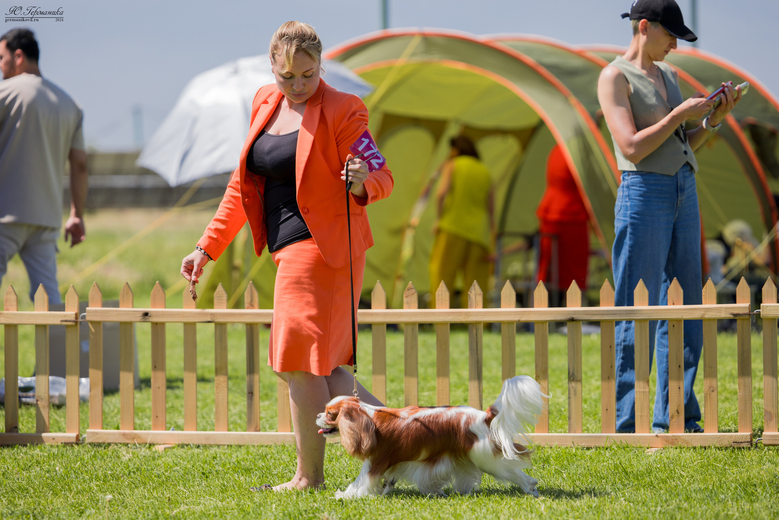 Ереван 3-5.06.2024. Фотограф-анималист Юлия Германика