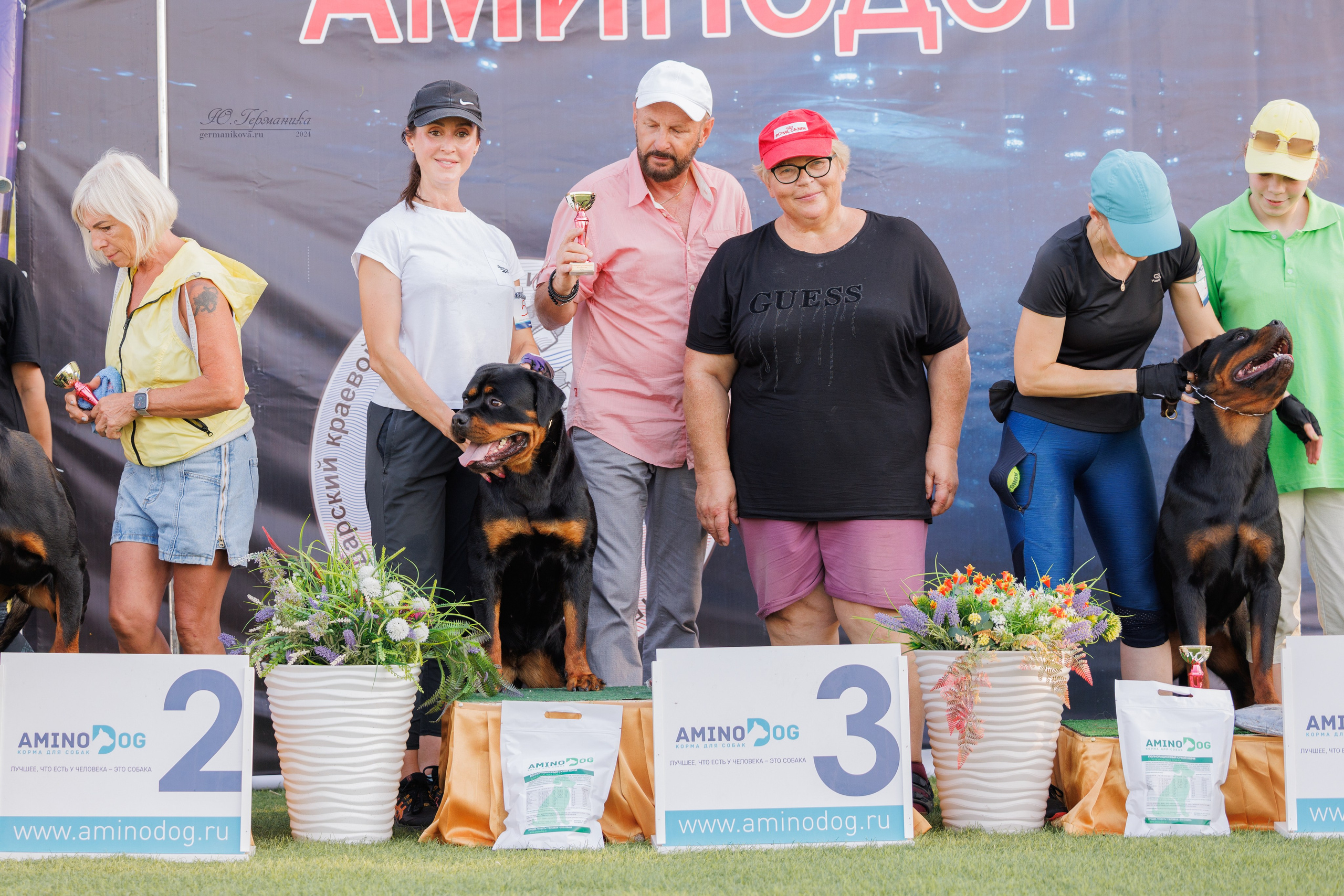 Анапа ротвейлеры 14-15.09.2024. Фотограф-анималист Юлия Германика