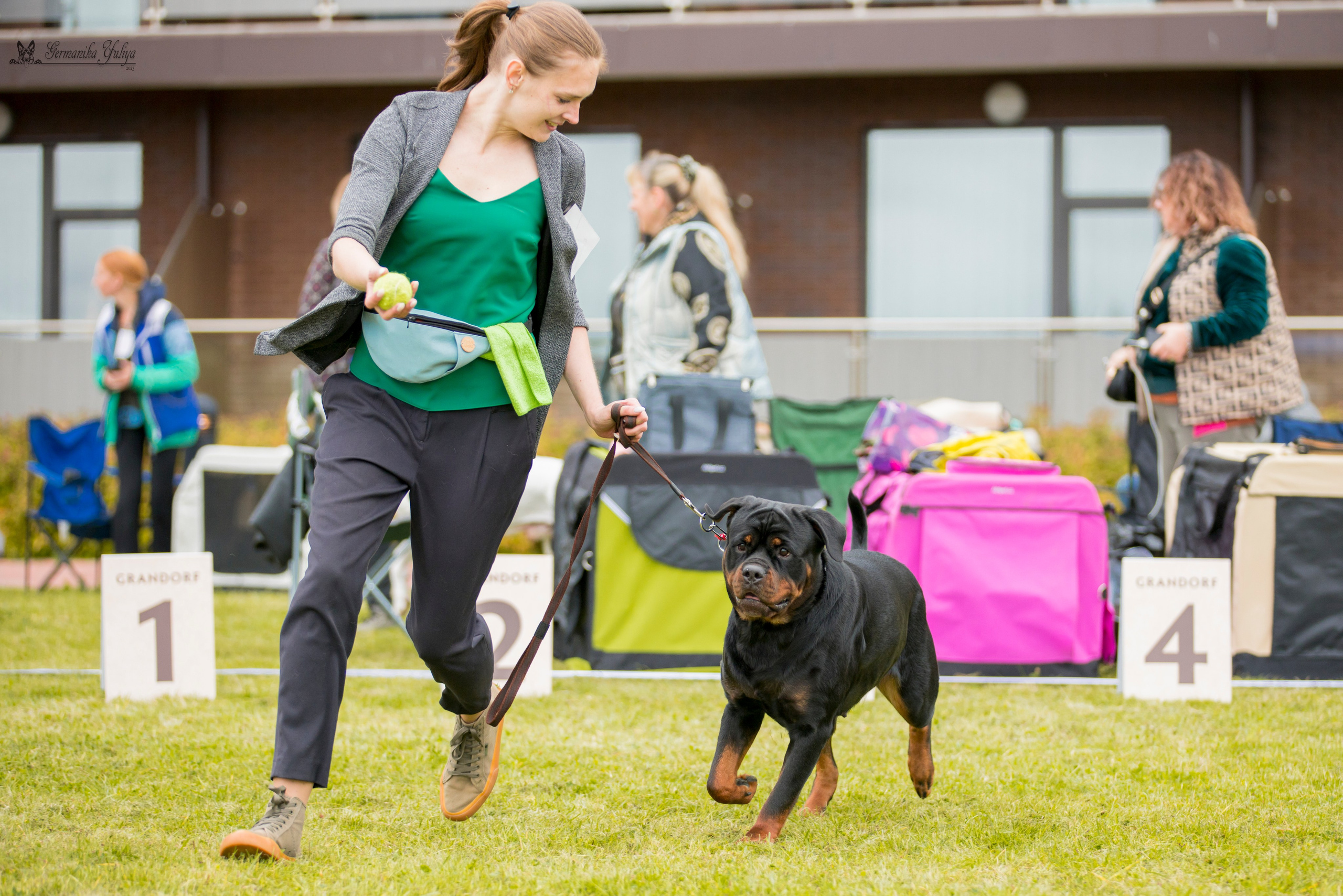 Переславль 9-10.09.2023. Фотограф-анималист Юлия Германика
