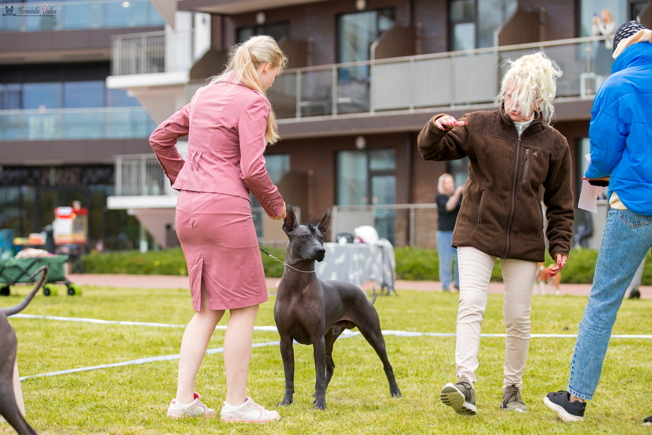 Переславль 9-10.09.2023. Фотограф-анималист Юлия Германика