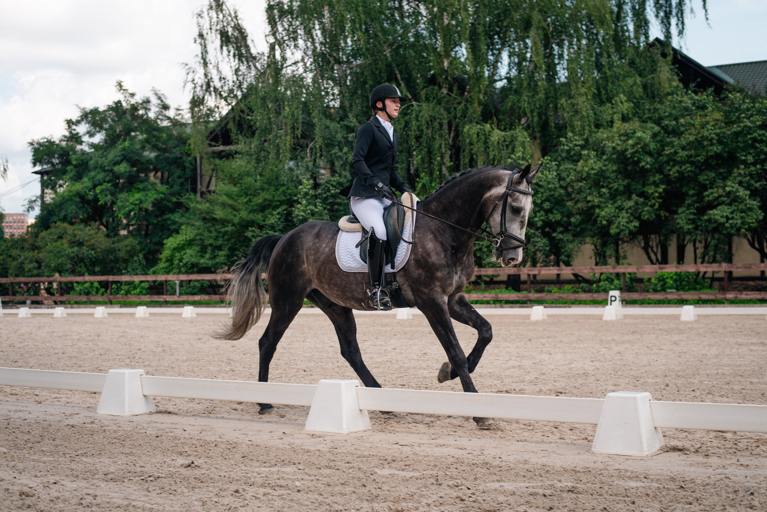Выездка 10.08.25. Фотограф, визажист. Москва