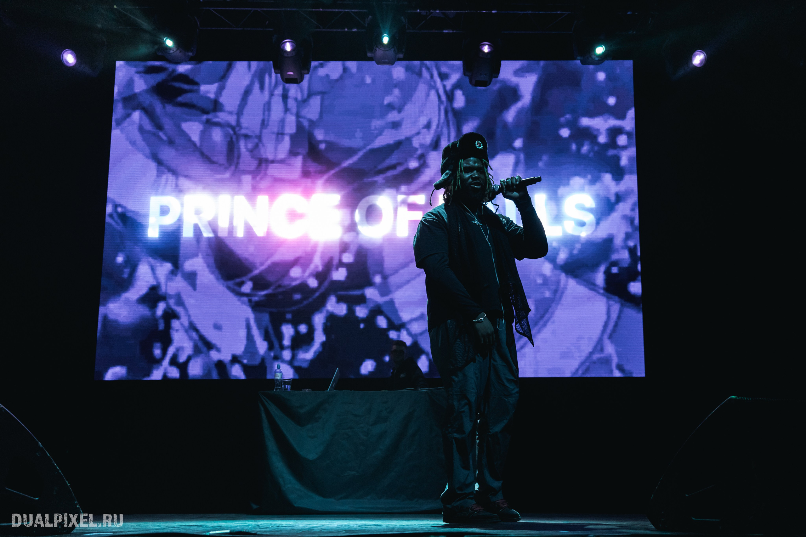 Prince Of Falls. Магия музыки в кадре: Концертная Фотография