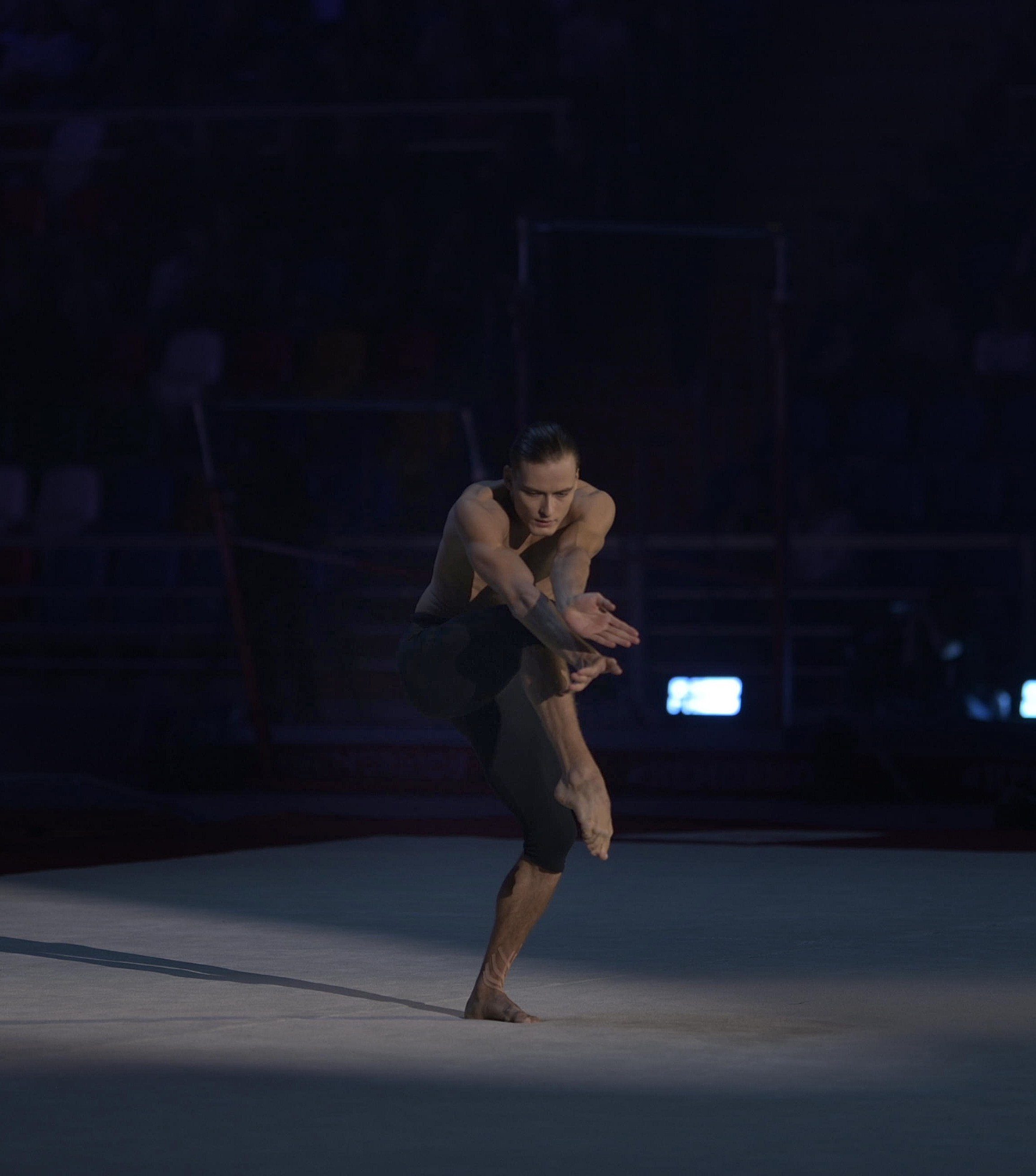 Шоу Алексея Немова 2024. Фотограф Ваших событий 📸