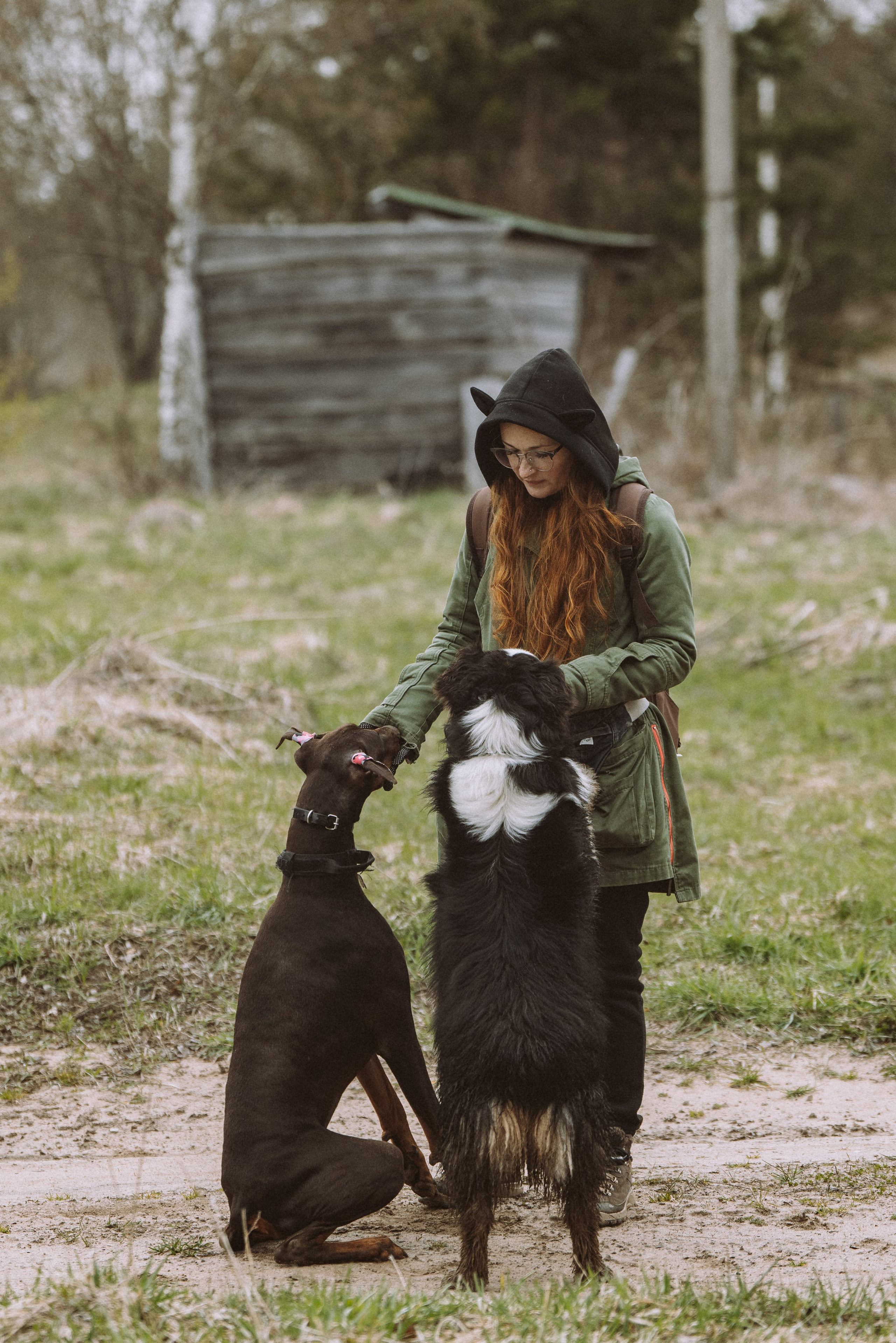 Дог трекинг к финскому хутору. Фотограф анималист в Спб недорого Олеся Майорова