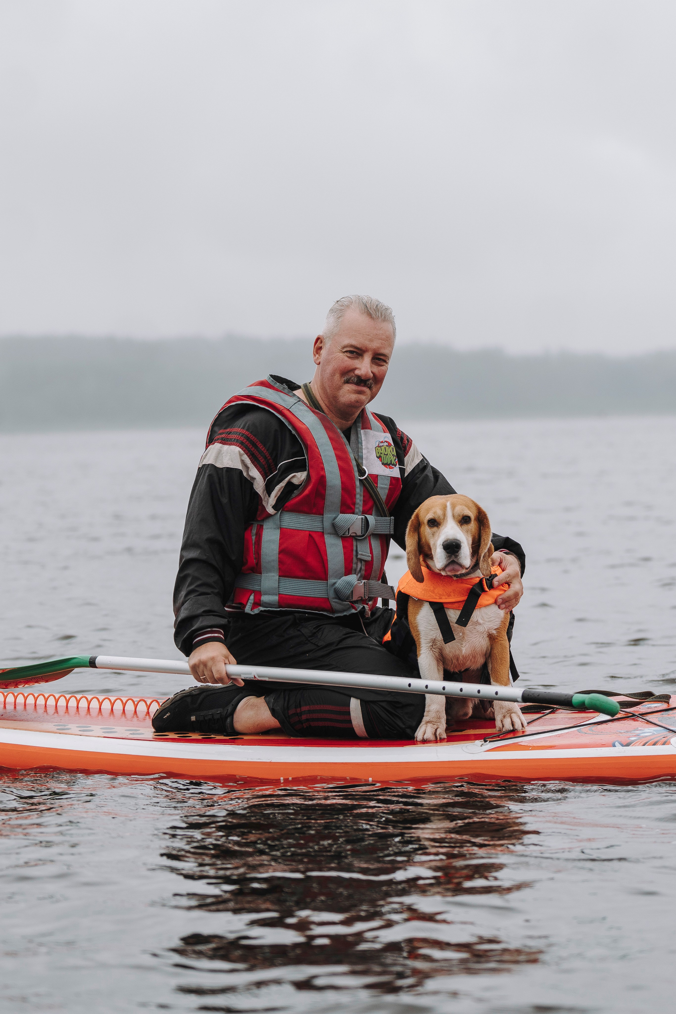 Катание на сапах с собаками. Фотограф анималист в Спб недорого Олеся Майорова