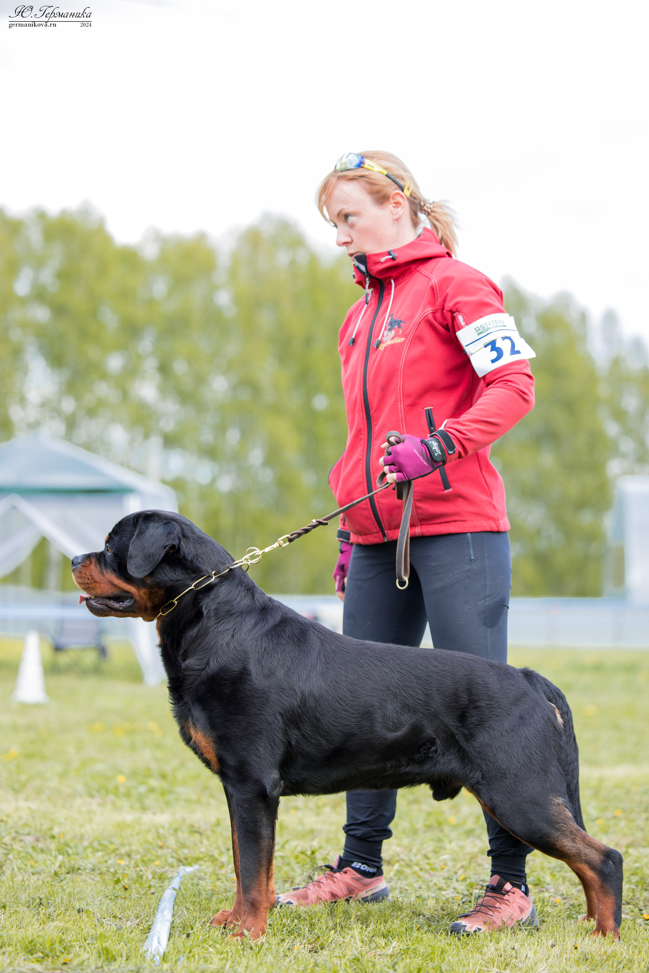 Нижний Новгород 11-12.05.2024 моно ротвейлеров. Фотограф-анималист Юлия Германика
