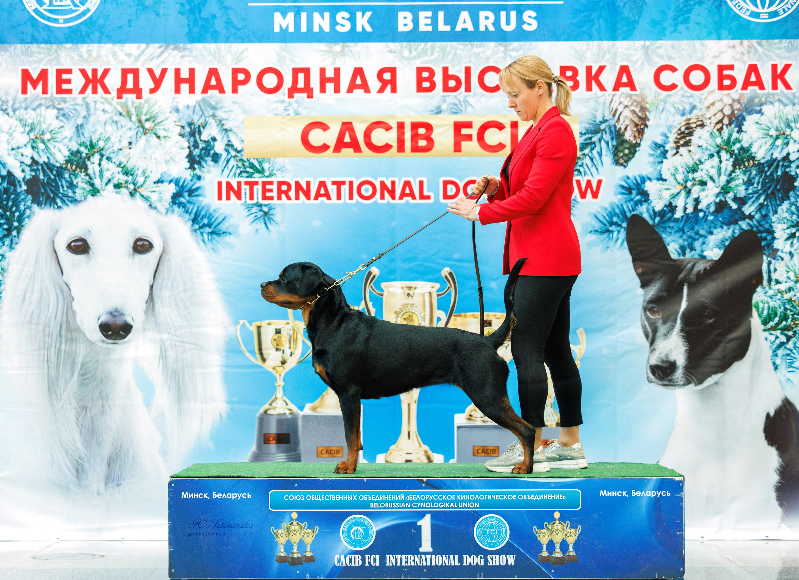 Минск 23.11.2024. Фотограф-анималист Юлия Германика