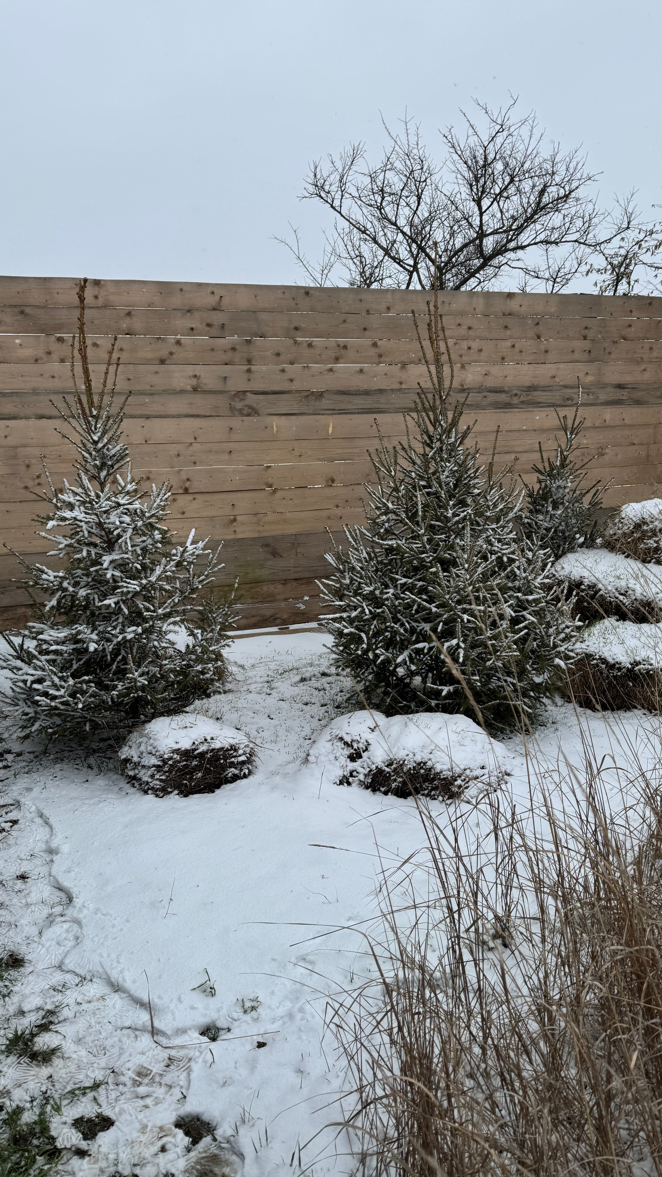 Зима. Фотостудия Натальи Забродской