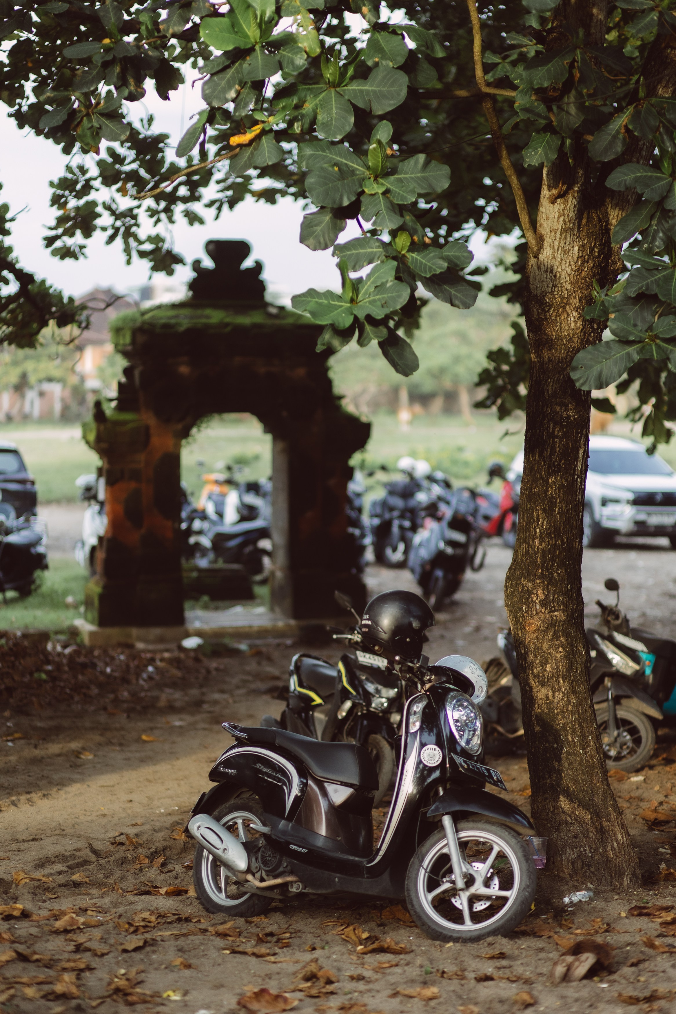 Путешествия и туры. Фотограф Москва и Московская область