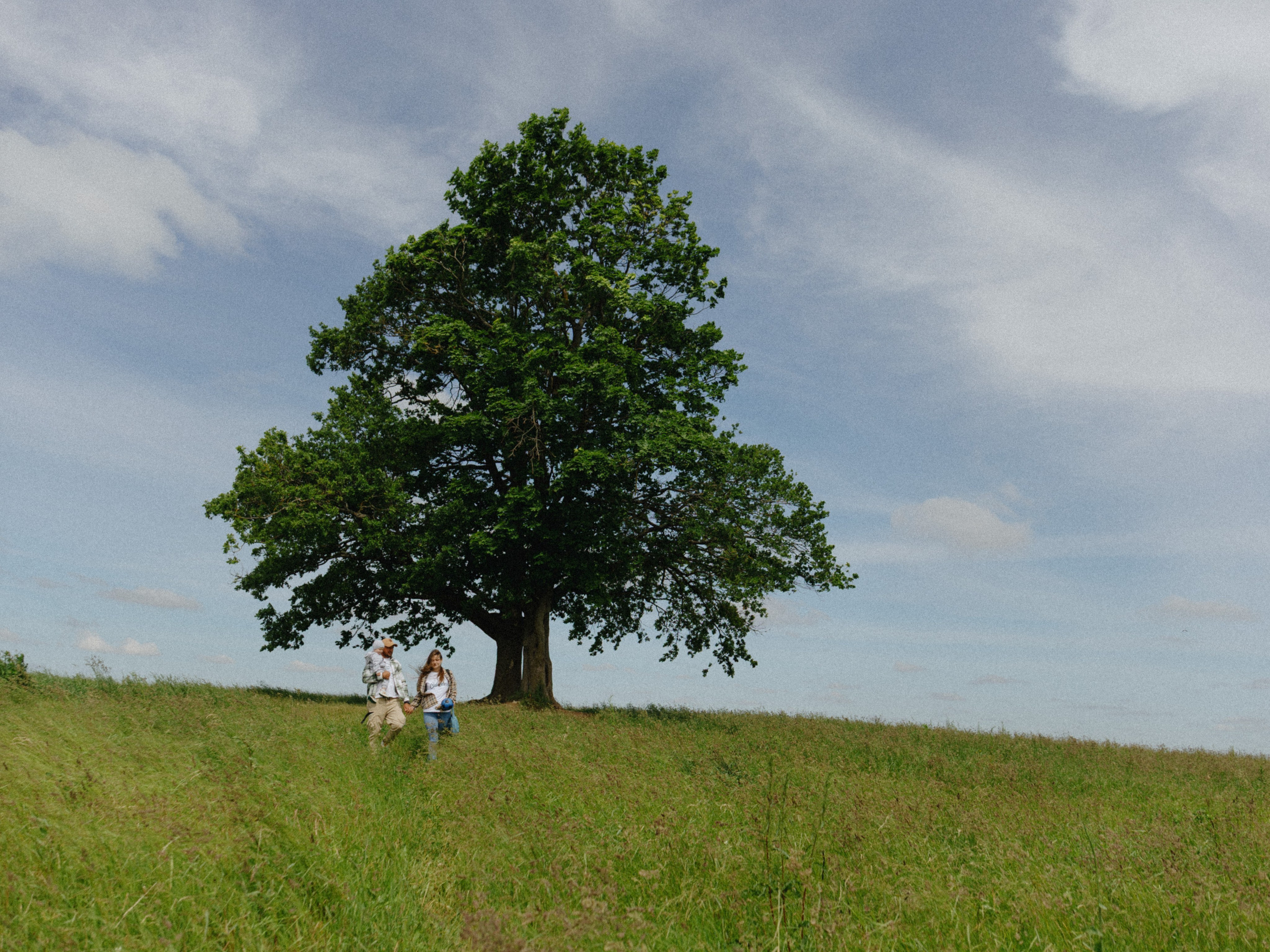 Антон + Алевтина = Рома. Свадебный фотограф СПБ