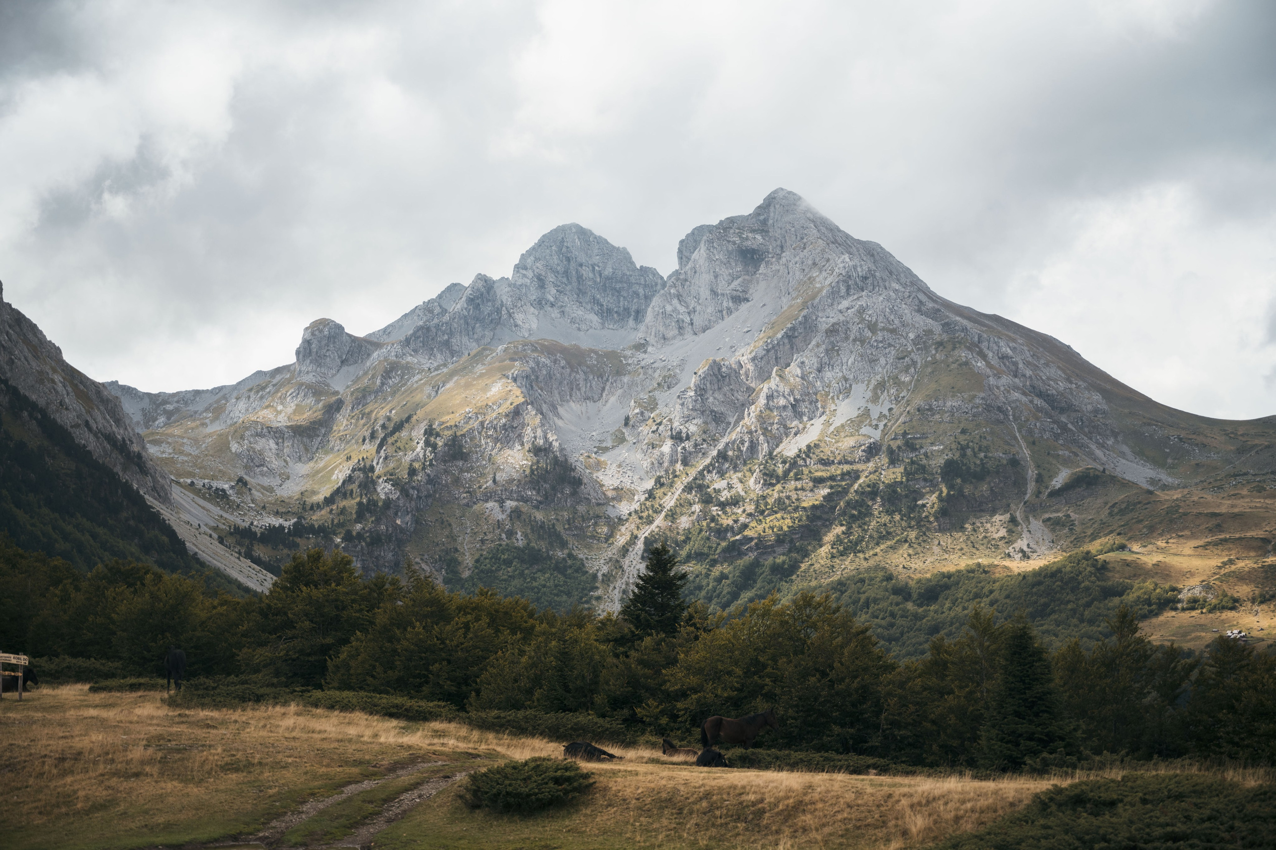 ГОРЫ КОМОВИ. ЧЕРНОГОРИЯ. Фотограф в Белграде Чугреева Елена