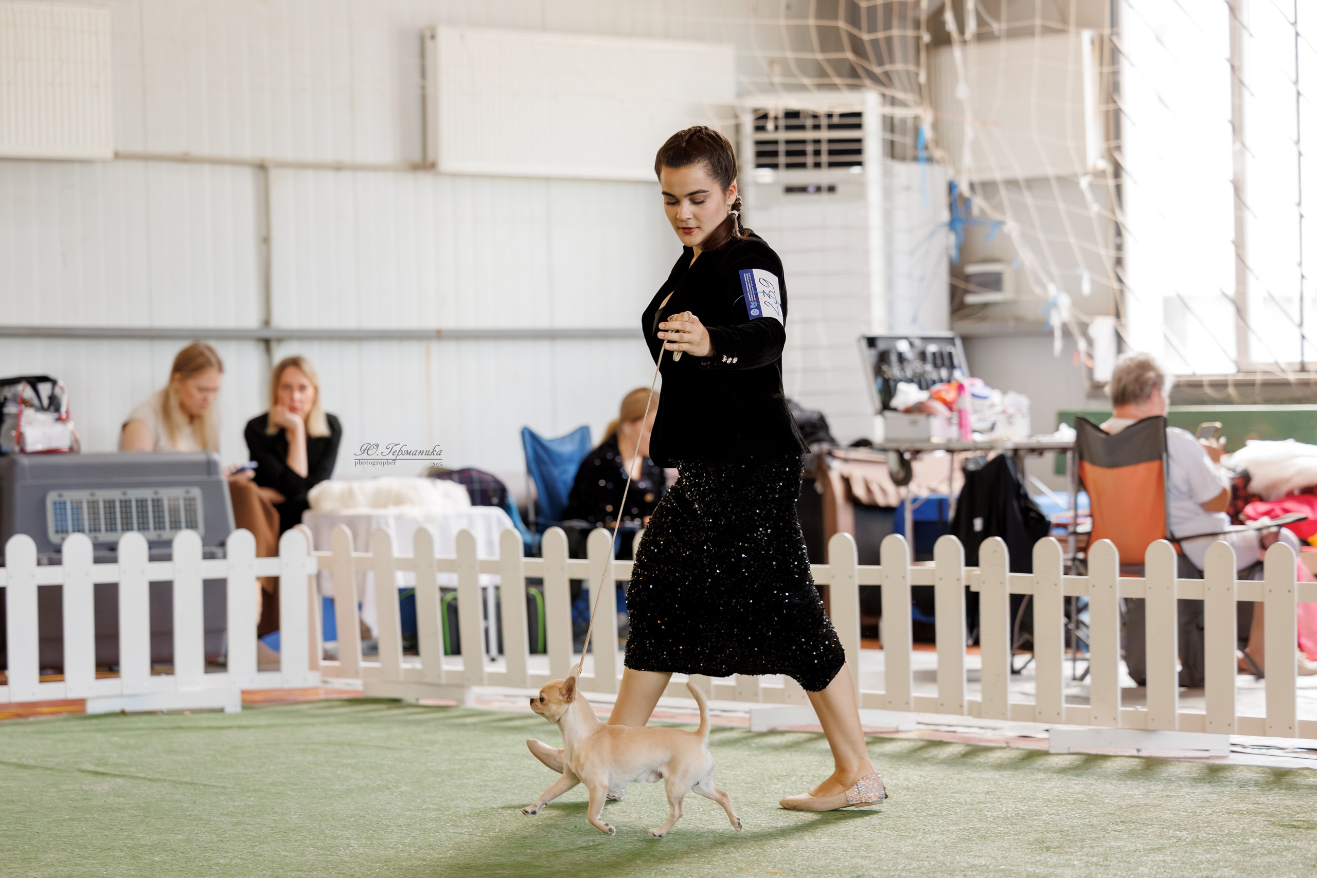 Батуми 3хCACIB 27-29.06.2025. Фотограф-анималист Юлия Германика