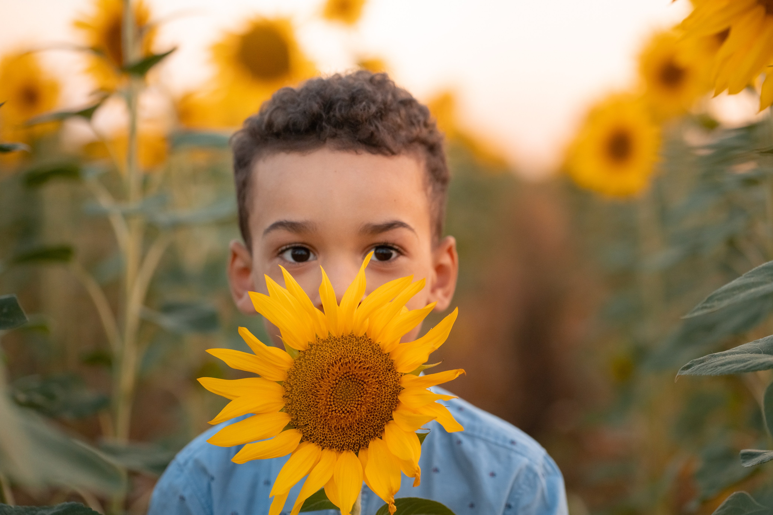 Sunny-flower. Семейный и свадебный фотограф Царева Нина | Белгород | МСК | СПБ
