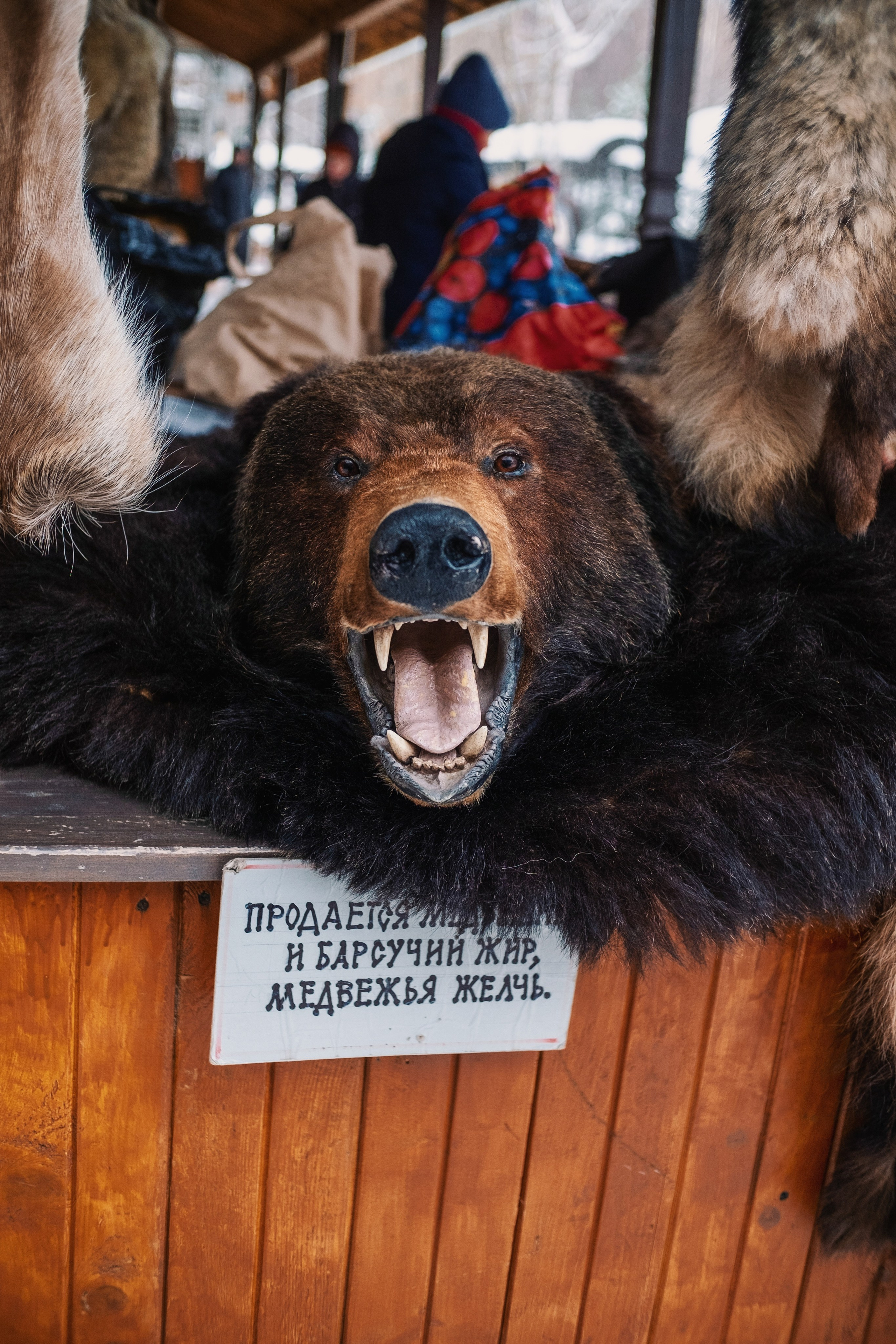 Поездки по России. Трандин Иван Фотограф СПб
