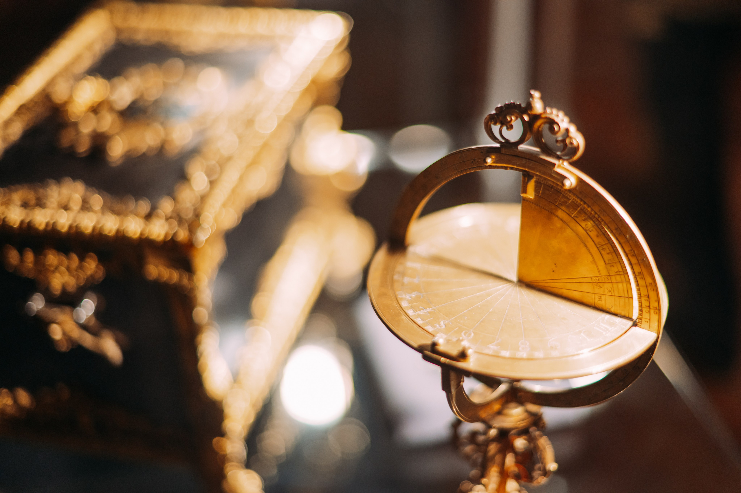 Общий репортаж. Фотограф Рашковская Полина