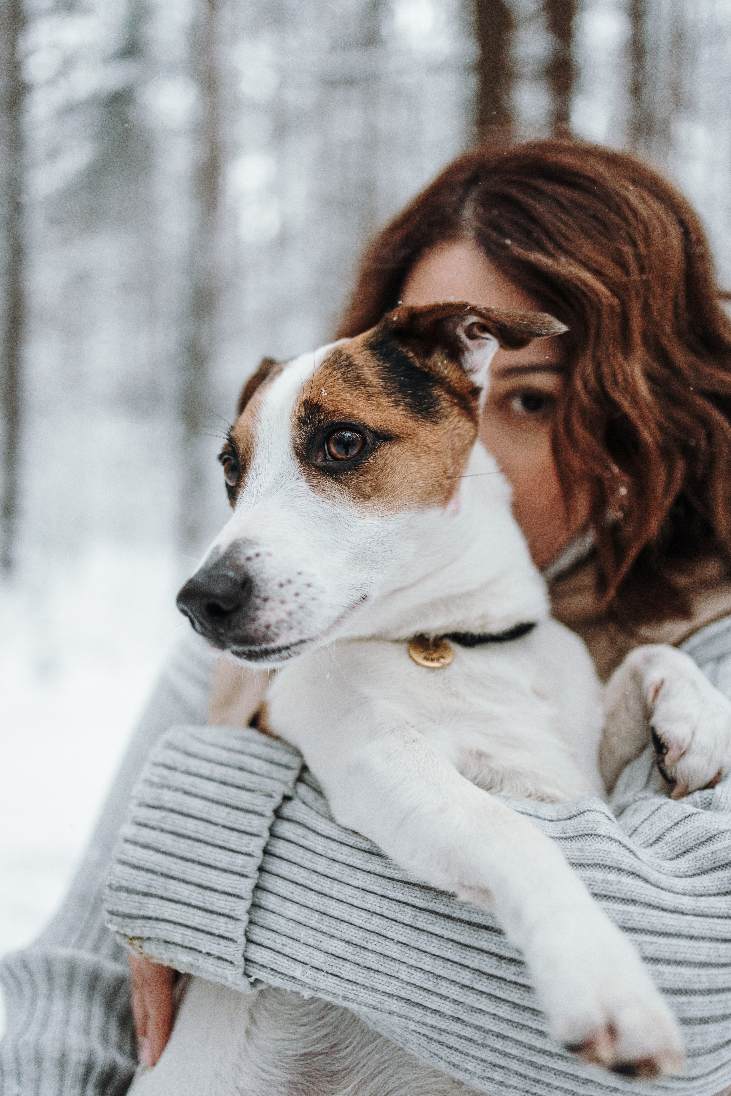 Мики и его семья. Фотограф — Анималист | Санкт-Петербург