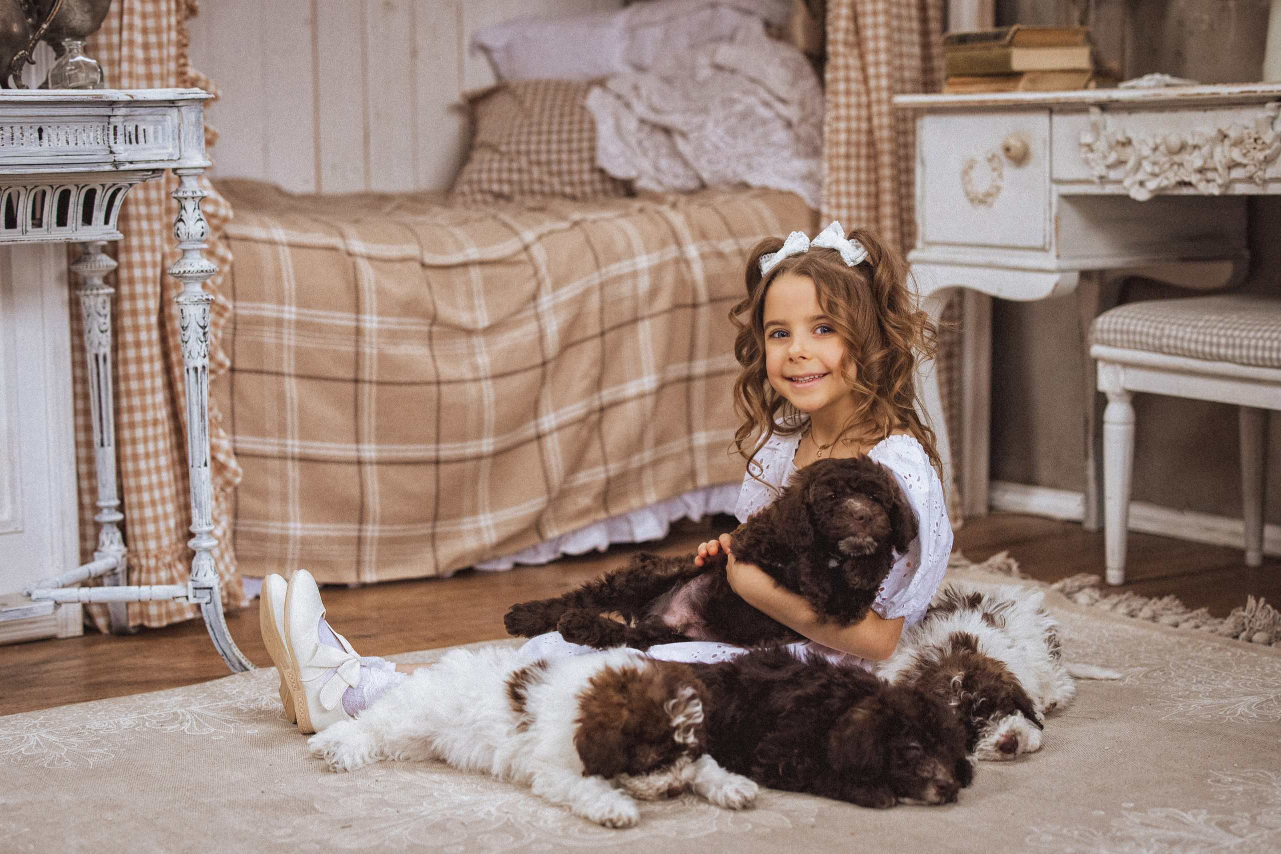 Фотосессия с щенками Лаго́тто-романьо́ло, в Винтажной фотостудии город Краснодар. Семейный и детский фотограф в Краснодаре Анна Трашкова