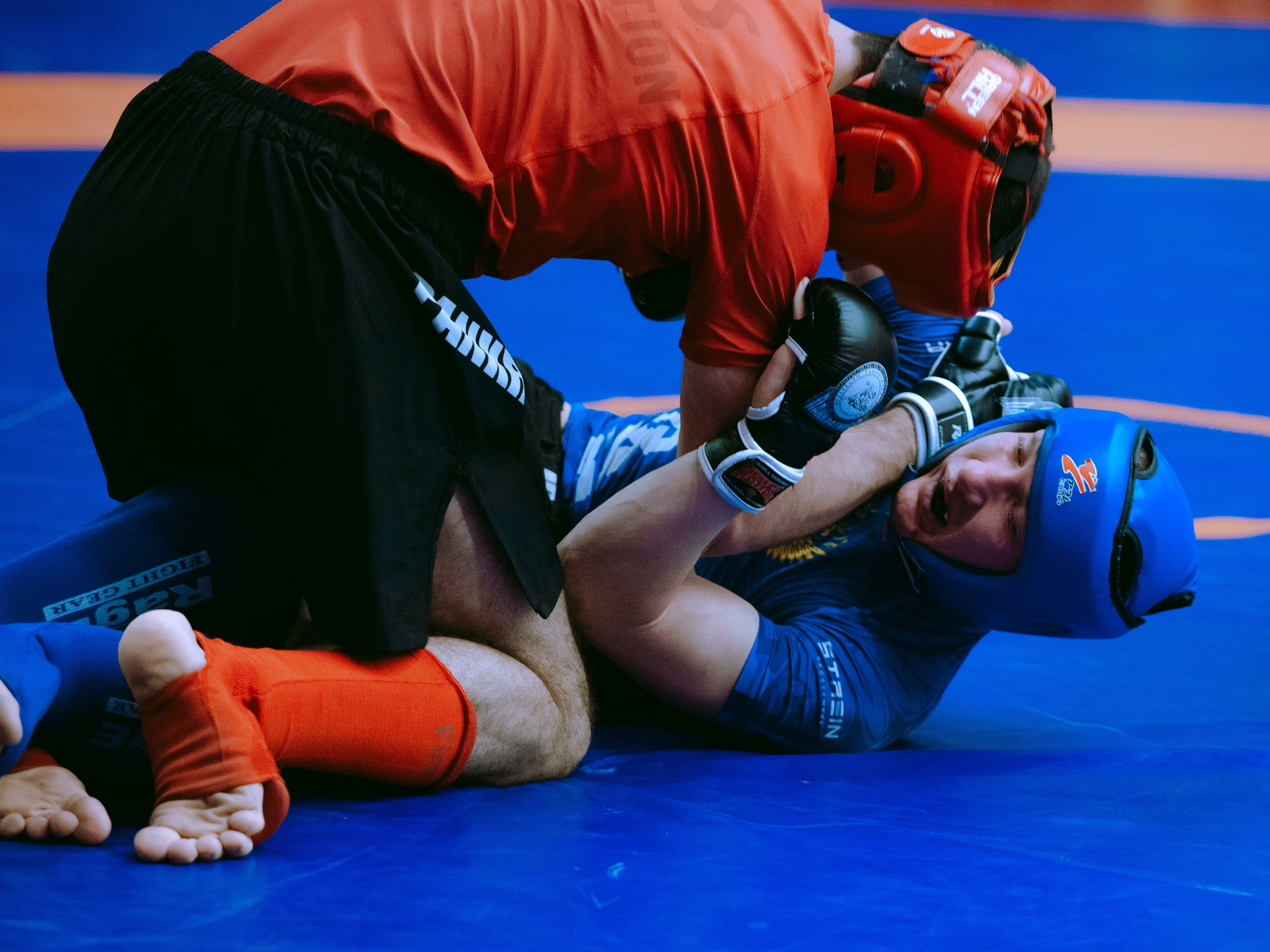 Кубок России по спортивной борьбе панкратион `23. Портретный фотограф в Москве Дарья Цезария