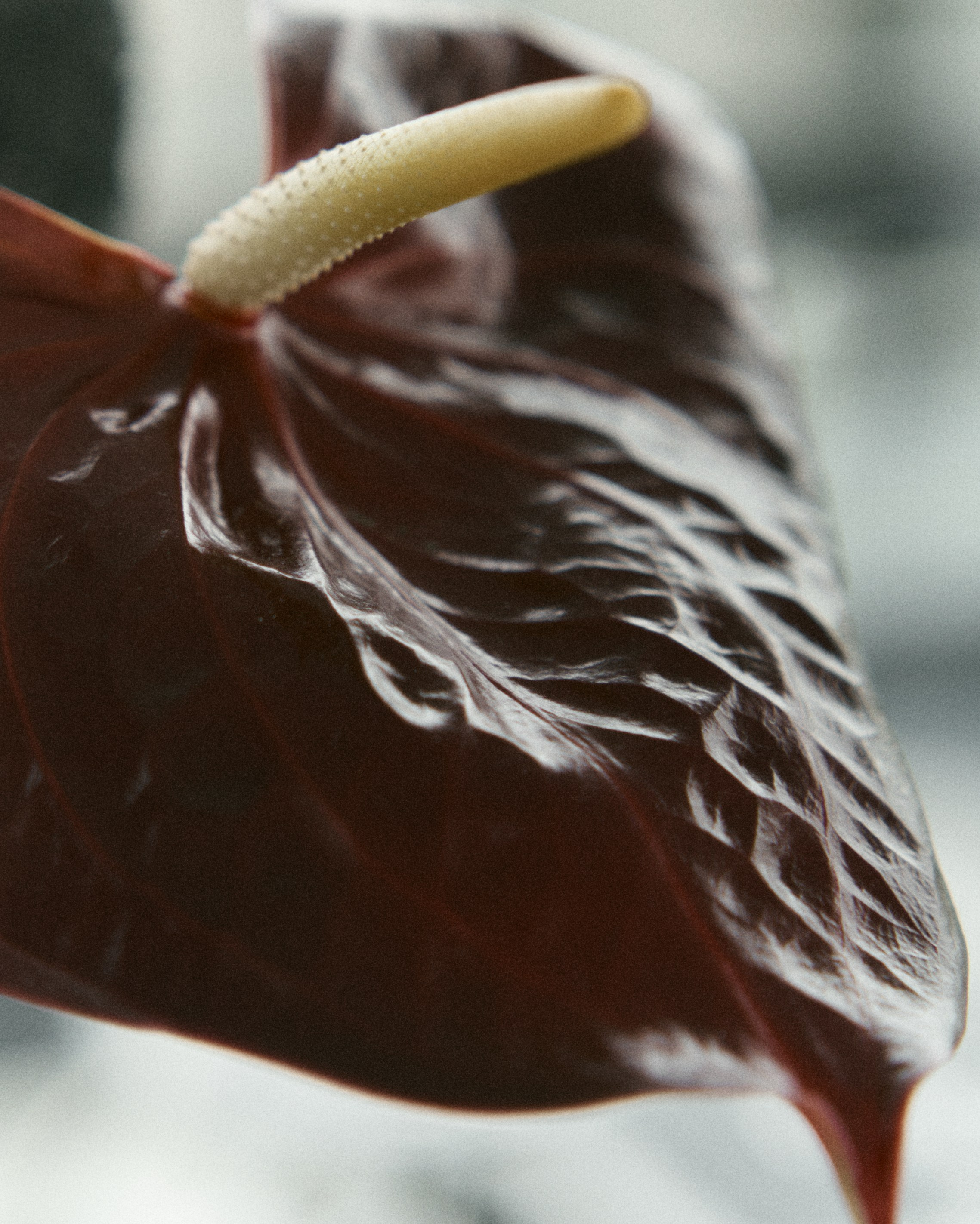 Свадебная фотосессия Москва. Свадебный фотограф Жучкова Елизавета в Москве