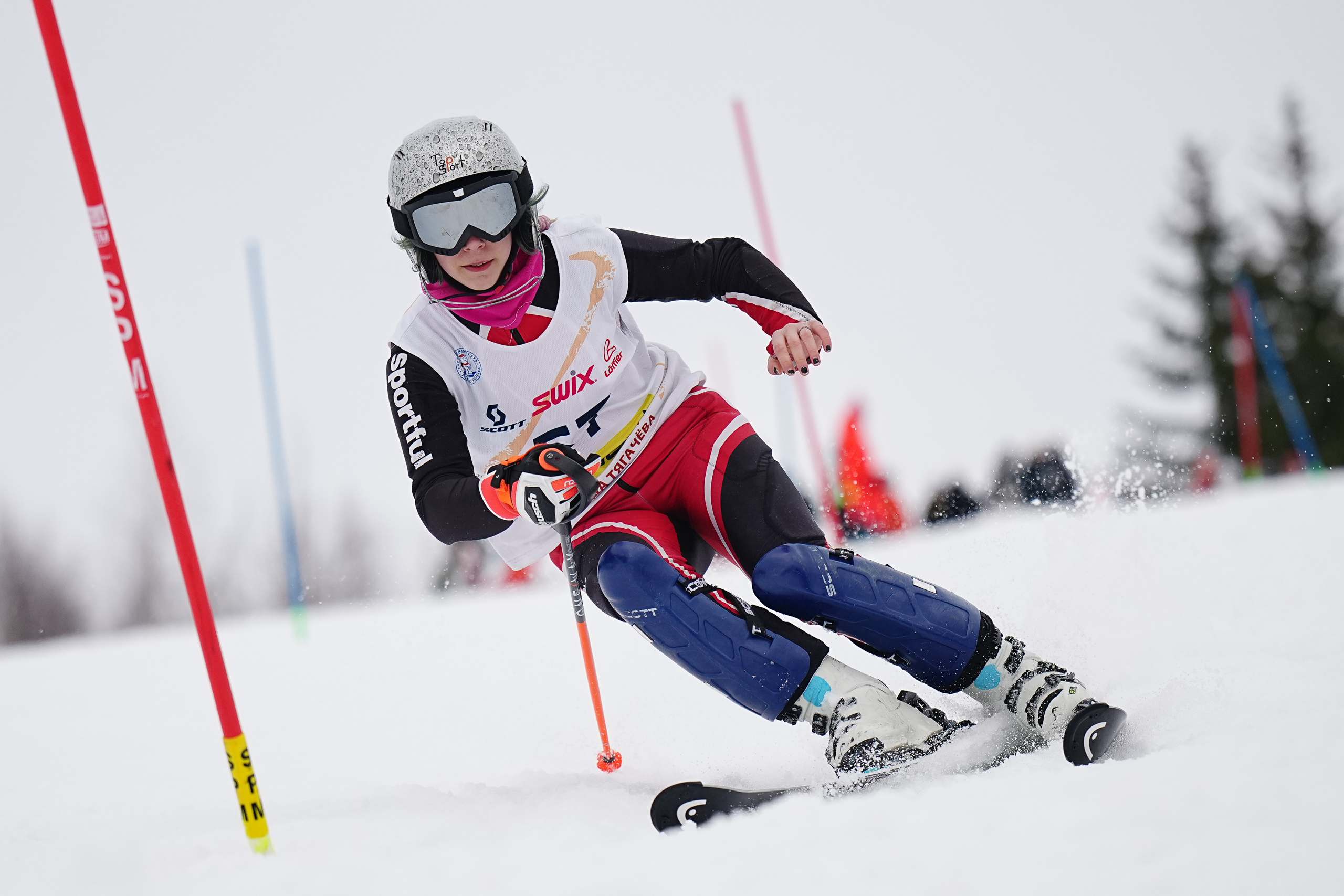 Горные лыжи. Первенство Московской Области