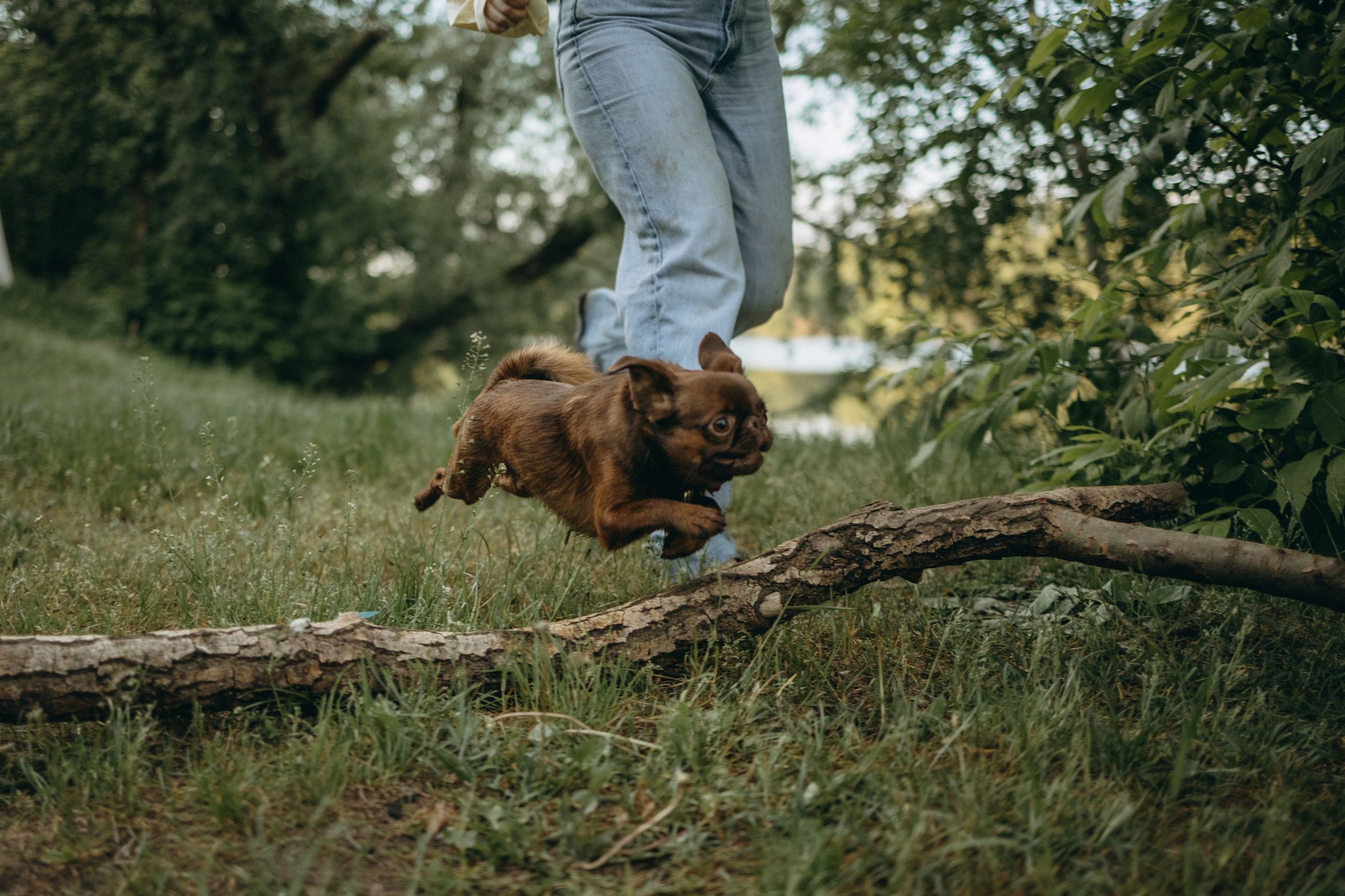 Екатерина и Лёня. Фотограф — Анималист | Санкт-Петербург