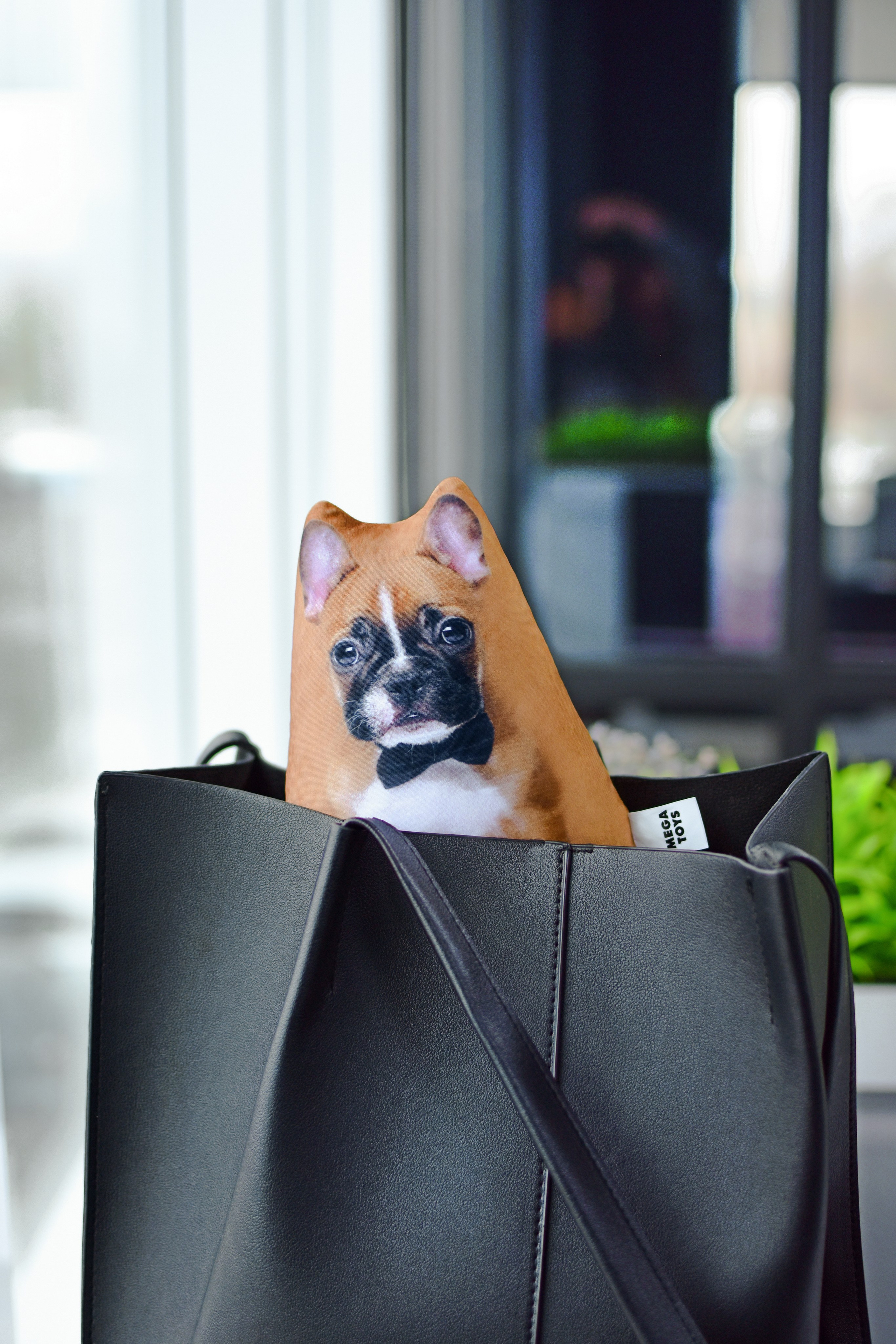 Антистрессы. Семейный и свадебный фотограф Галина Абакумова, фотосессии в Белгороде