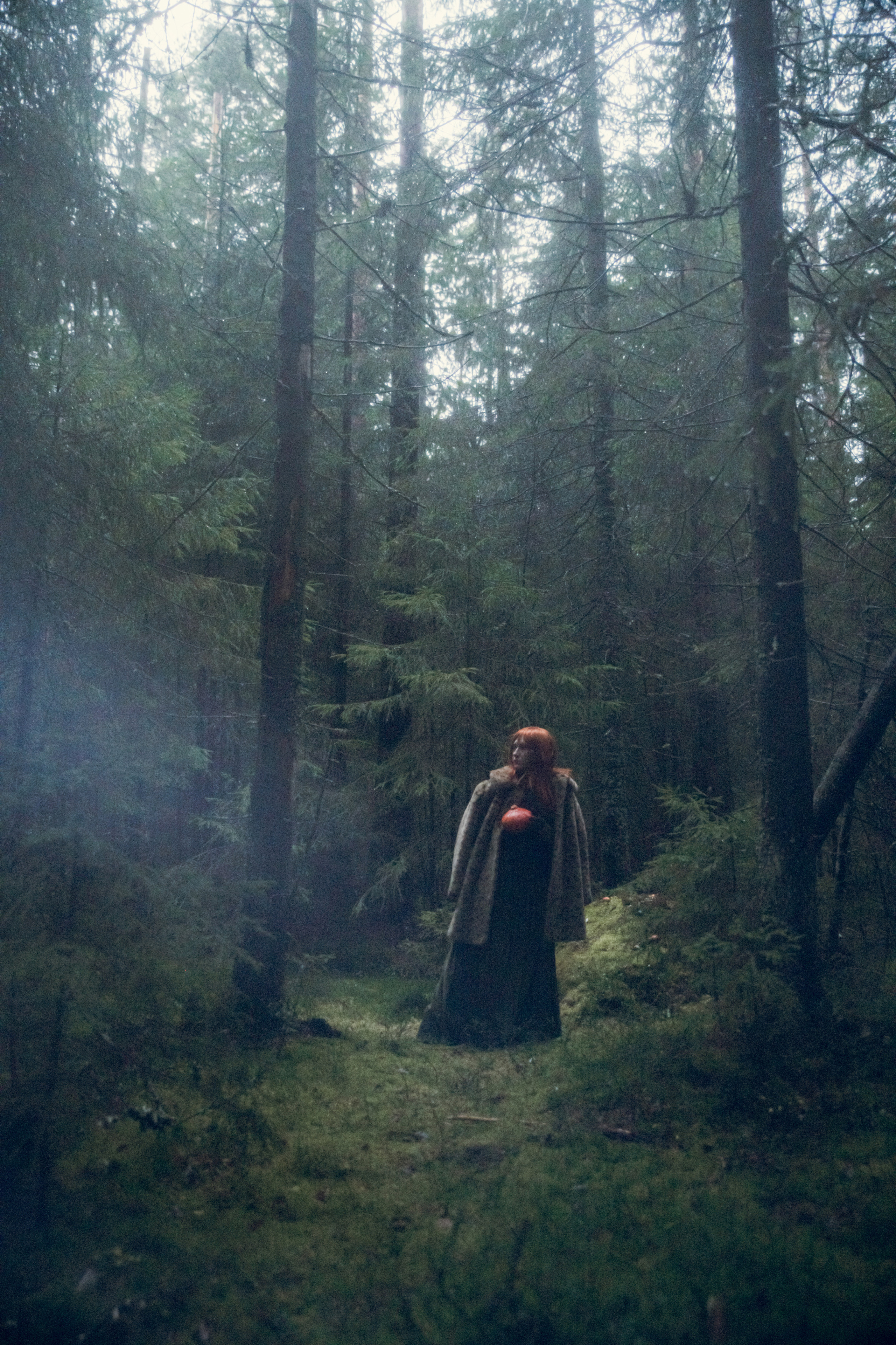 Арт-фотографии. Лилия Гоца. Гунфу Шаолинь. Арт-фотография. Ретриты