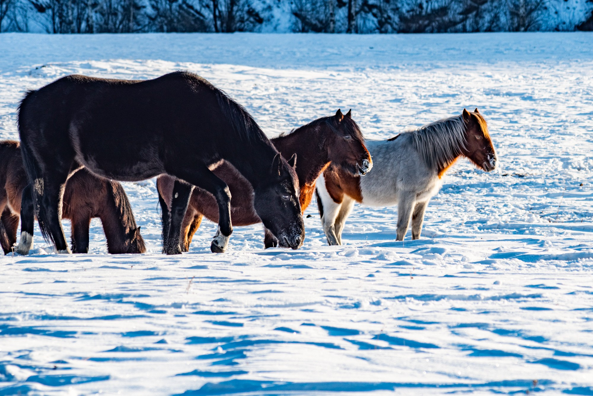 Пейзажи. Семейный и свадебный фотограф в Иркутске Максим Жигалов