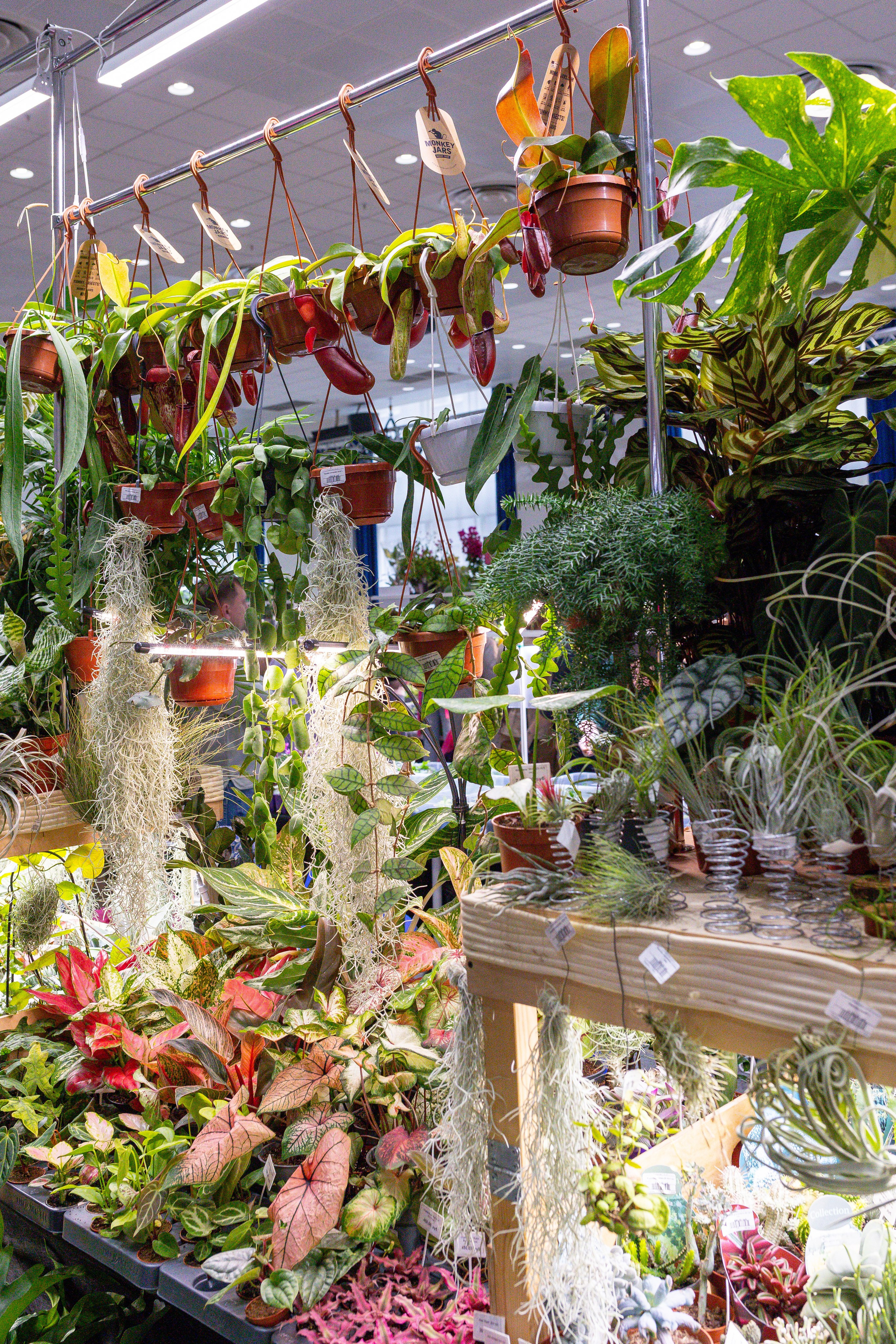 Монстериум 11–12 октября. Александра Куликова фотограф, Москва