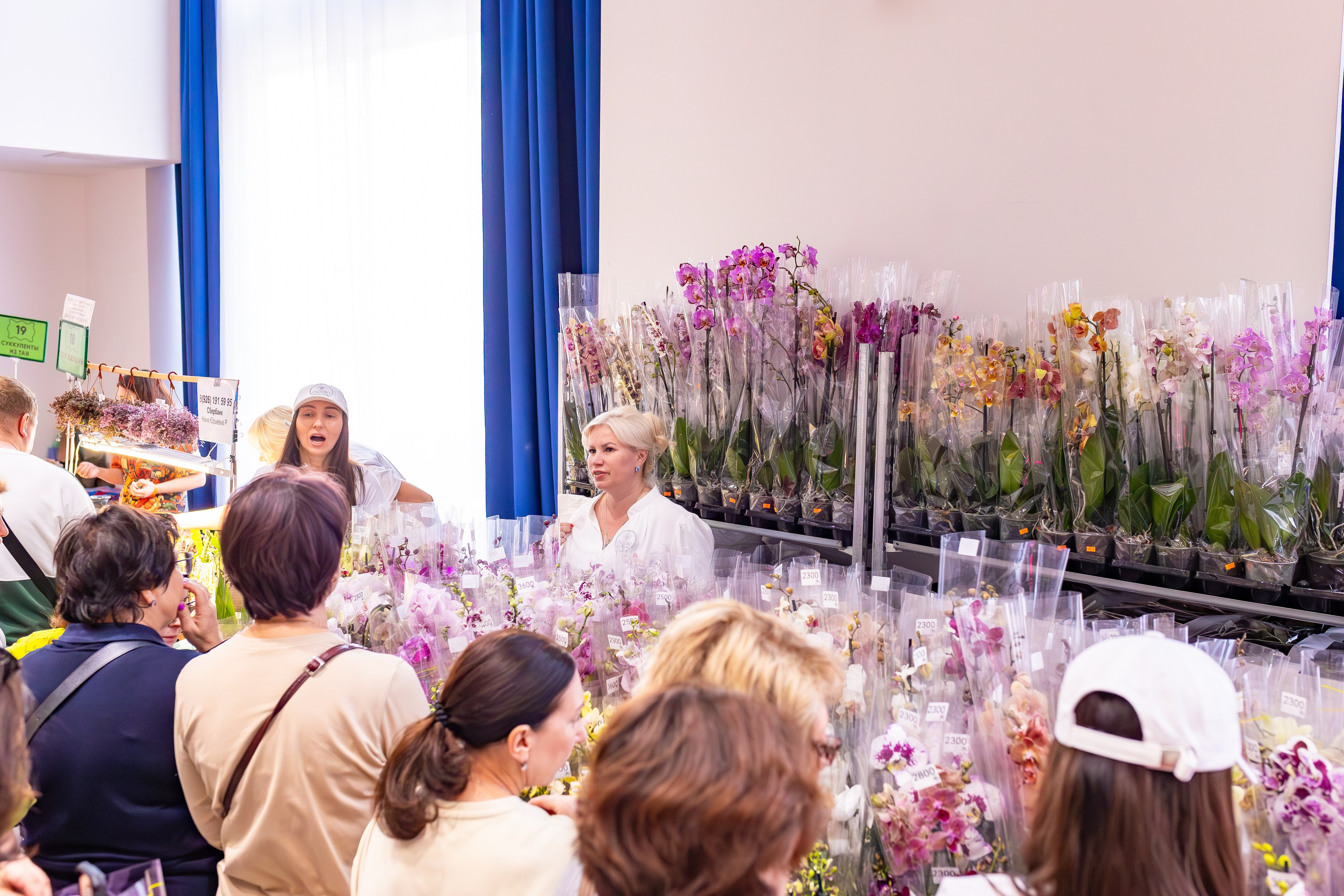 Орхидиум сентябрь 2025. Александра Куликова фотограф, Москва