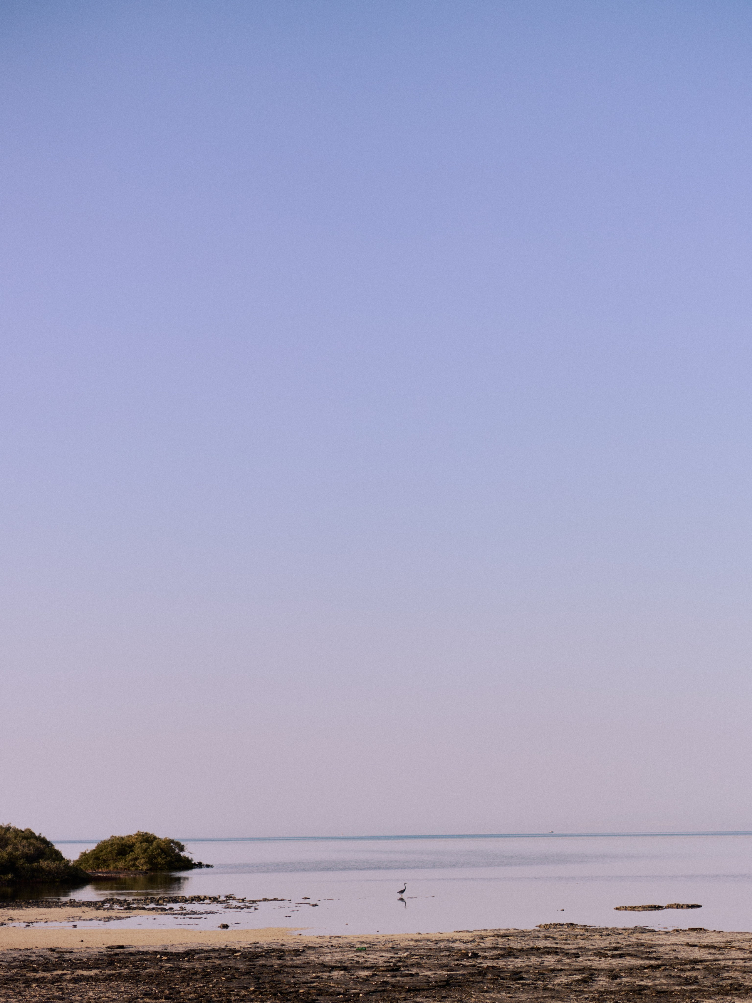 Другое 3. Jorgis Talè — photographer, kind person, teacher of arts and other mag