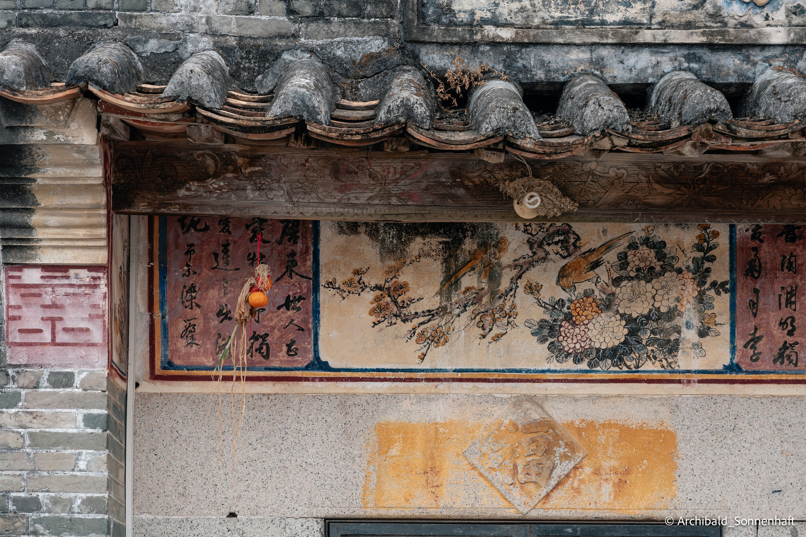 Diaolou in Kaiping. Photographer in Guangzhou, China. Archibald Sonnenhaft