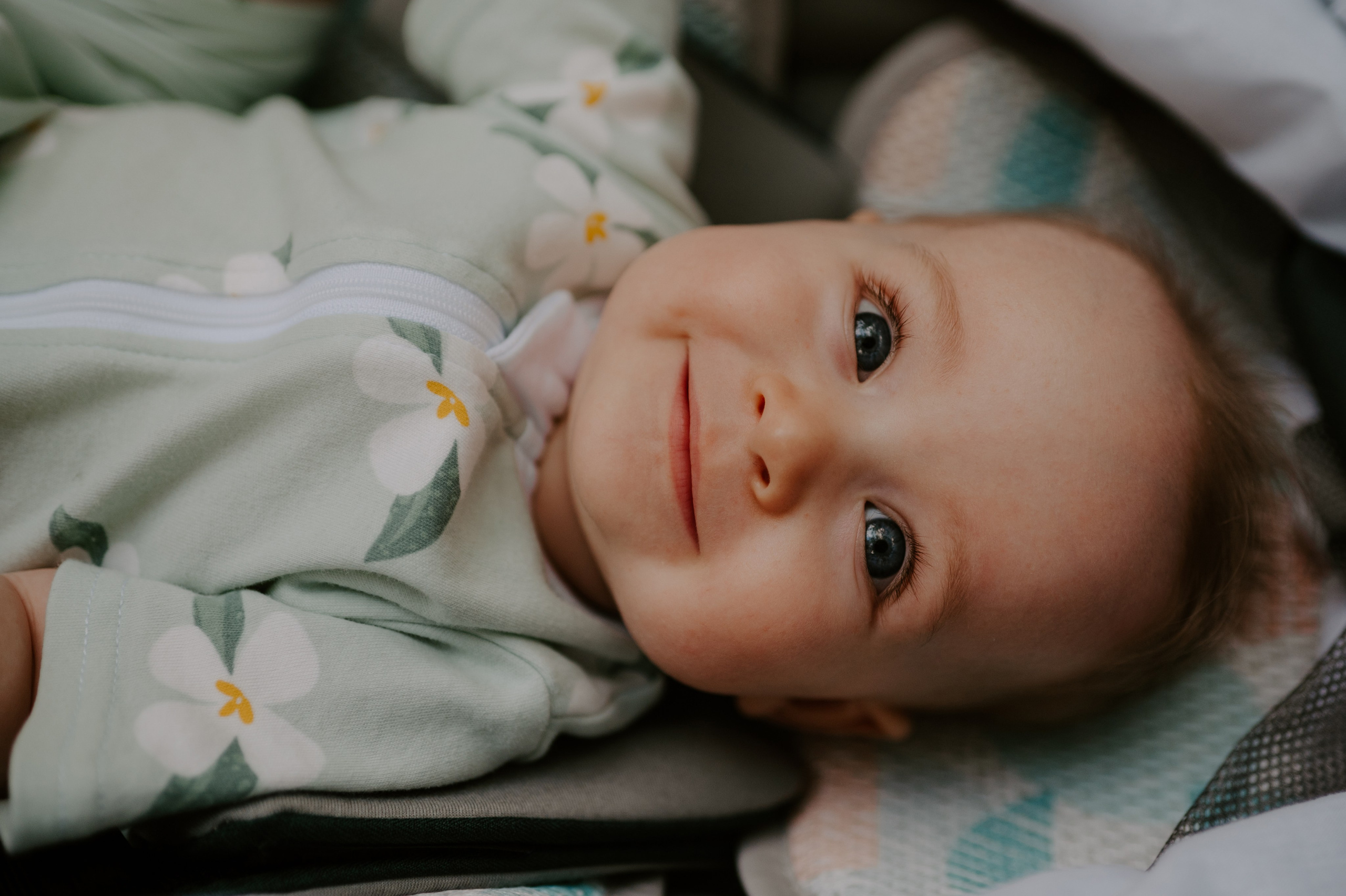 Пикничок втроем. Свадебный, репортажный и семейный фотограф в Москве Арина Зак